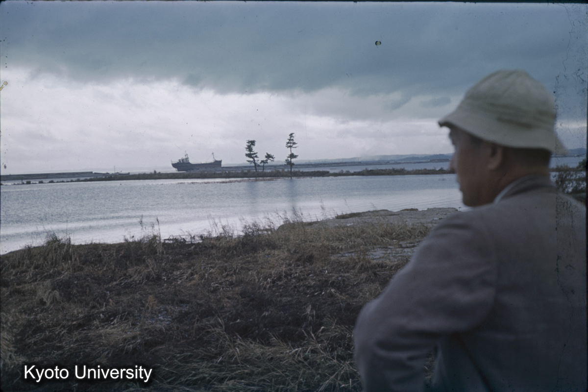 半田市海岸　康衛新田（1959） (1)