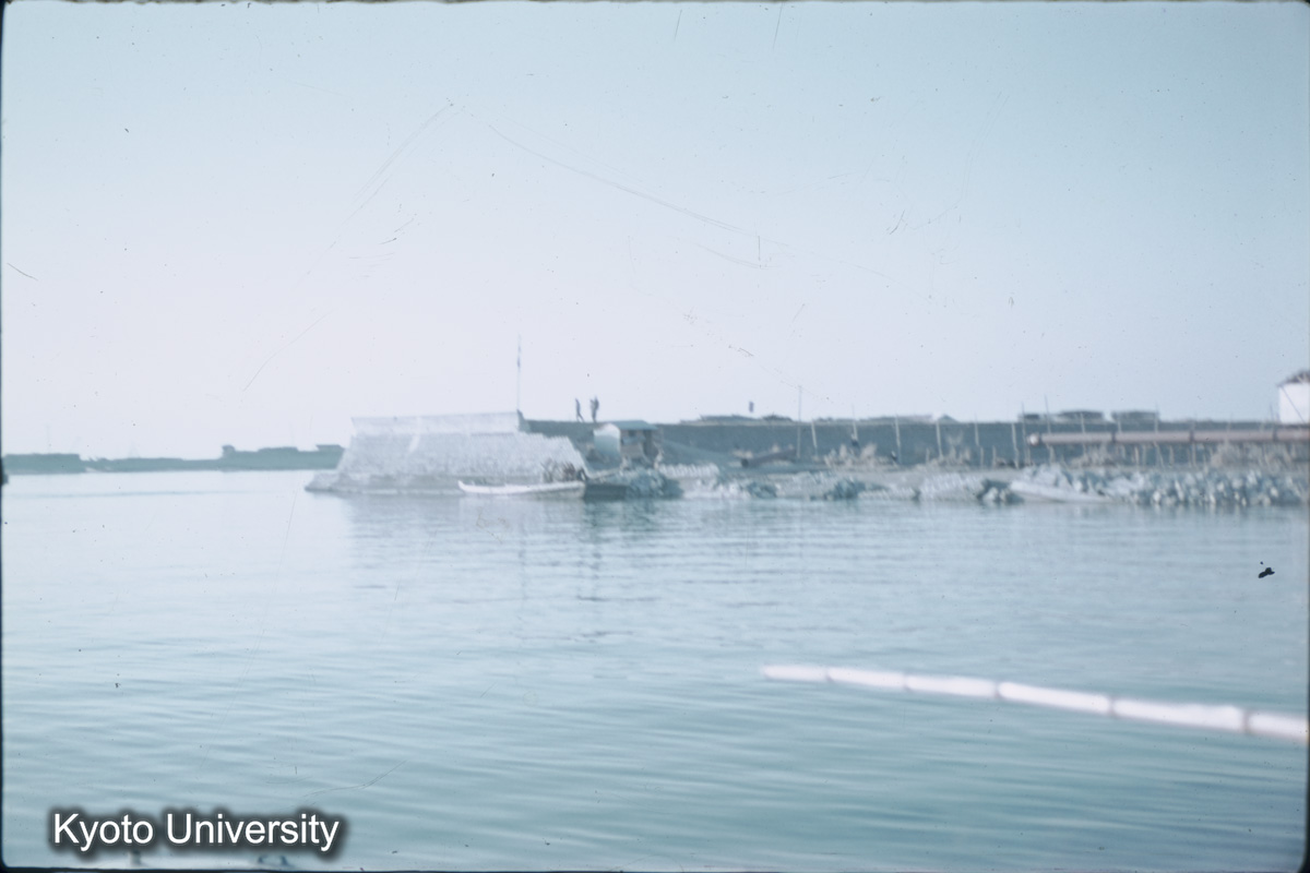 木曽川河口付近（1959） (1)