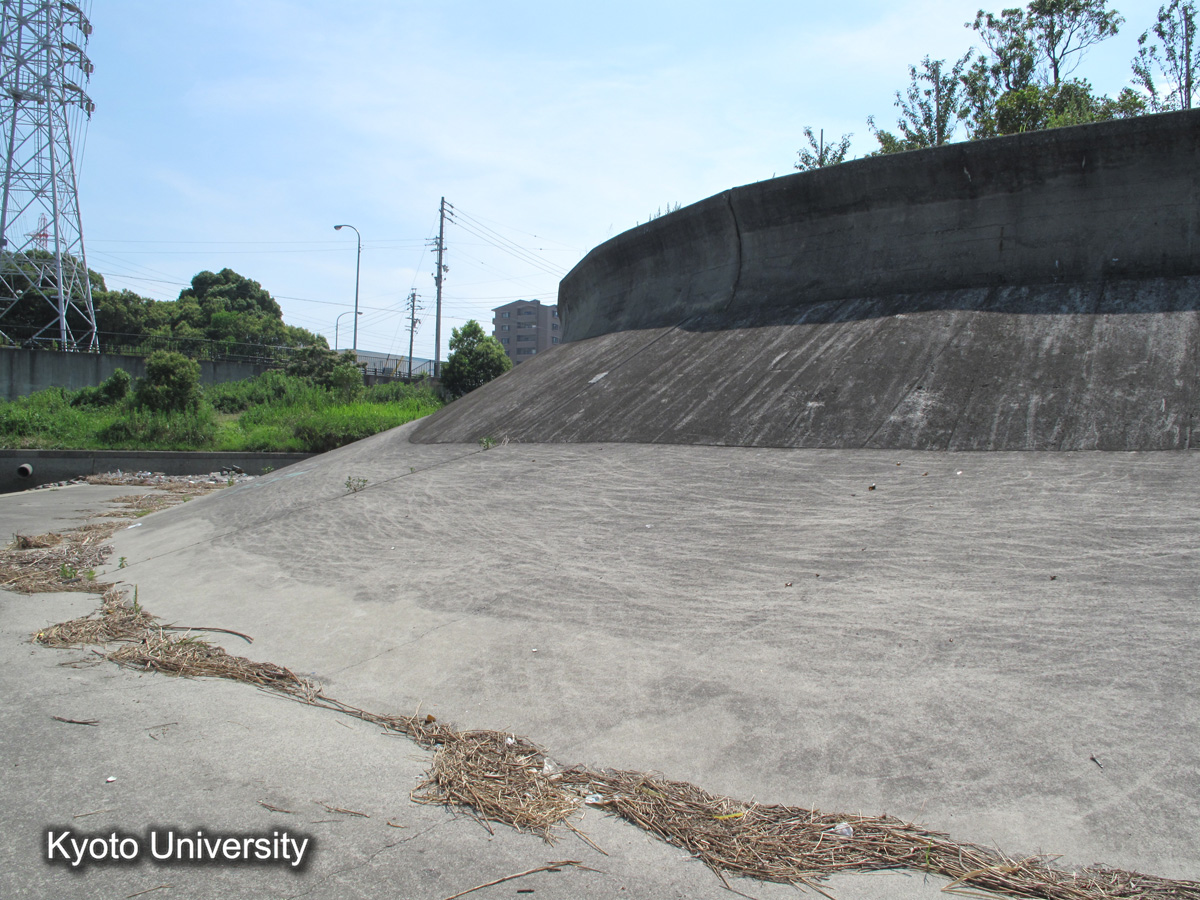 半田市海岸　康衛新田（2010） (1)