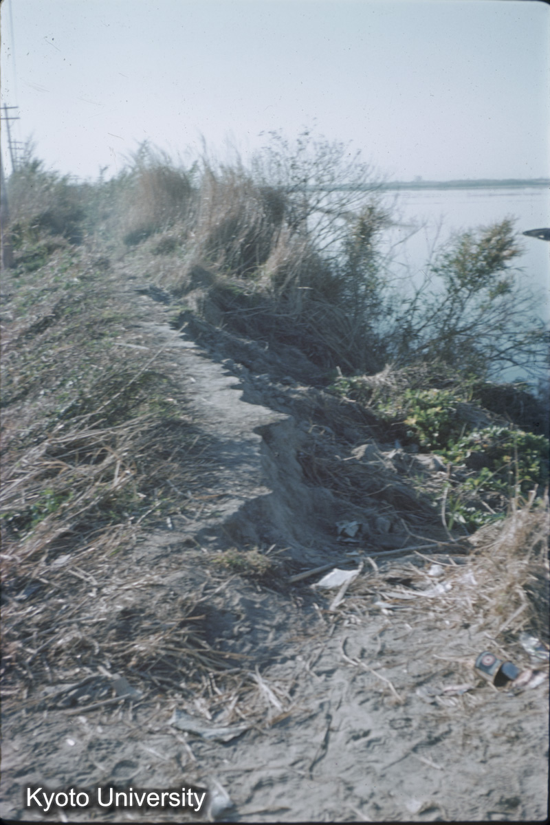 鍋田干拓旧堤（1959） (1)