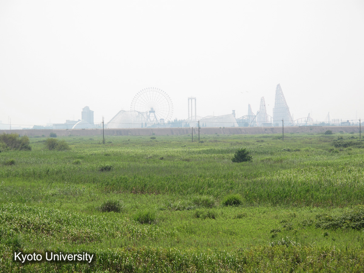 鍋田干拓旧堤（2010） (1)