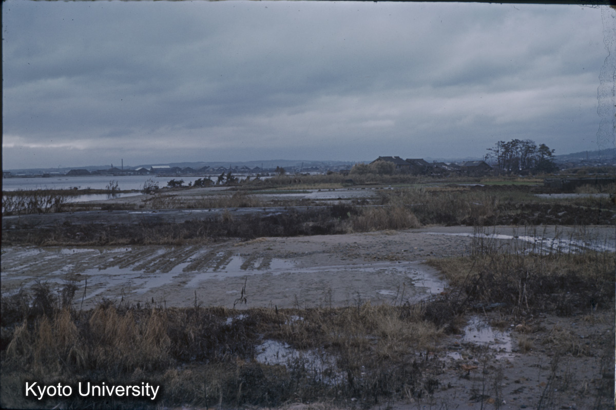 半田市海岸　康衛新田（1959） (1)