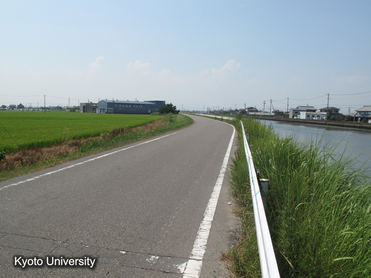 筏川左岸（2010） (1)