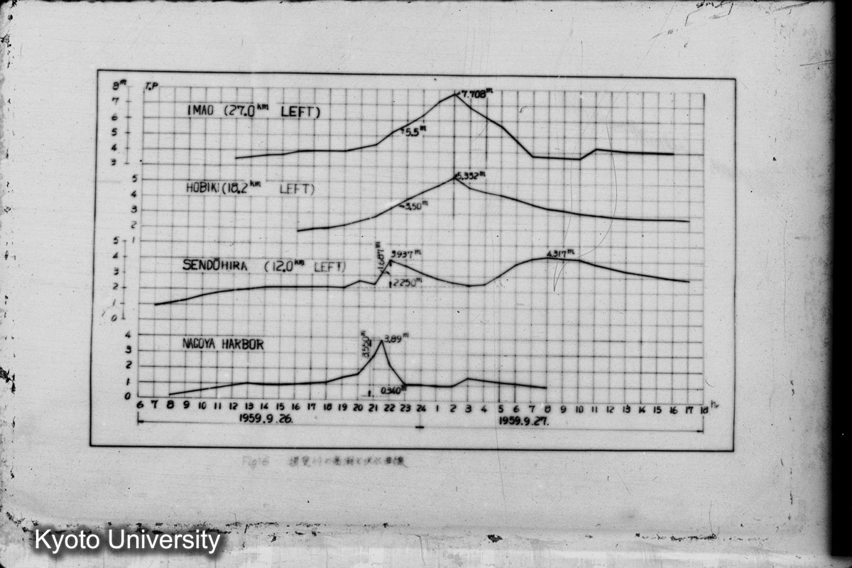 Fig. 6 揖斐川の高潮と洪水曲線 (1)