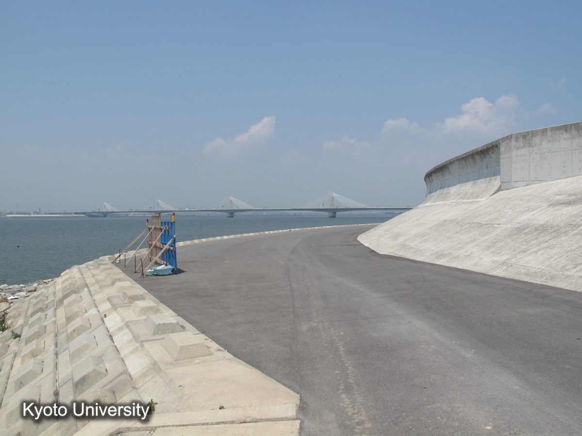 伊曽島村　前面堤破堤箇所（2010） (1)