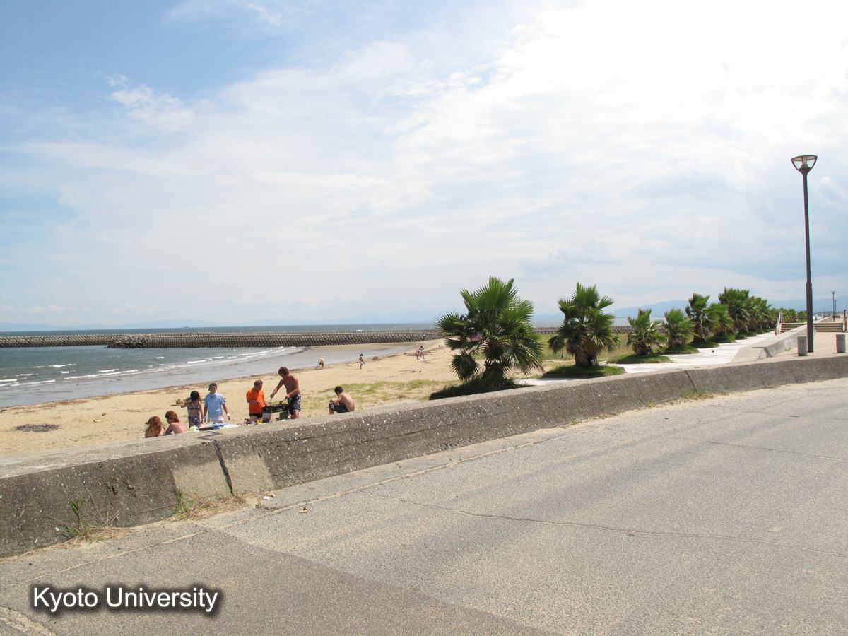 津管内　田中川　樋門の北（2010） (1)