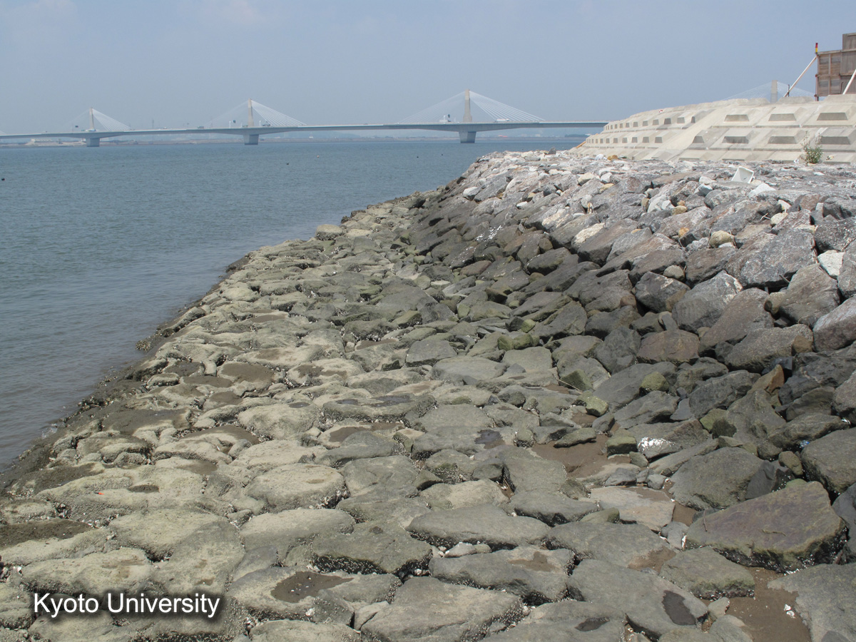 伊曽島村　前面堤（2010） (1)