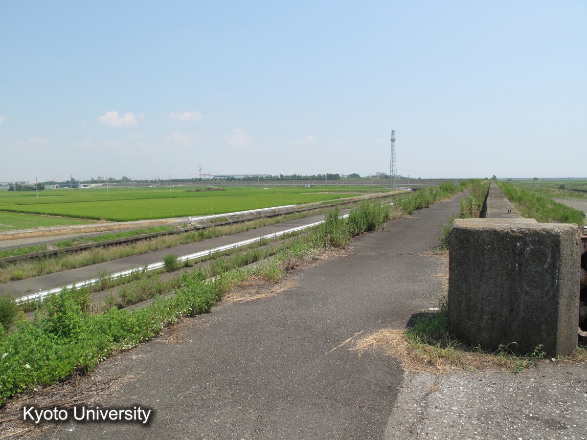 鍋田干拓旧堤（2010） (1)