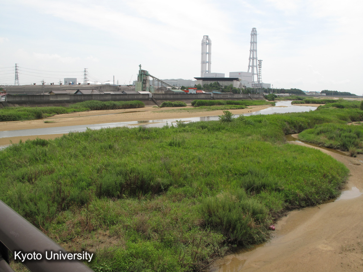 四日市管内　川越村地先（2010） (1)