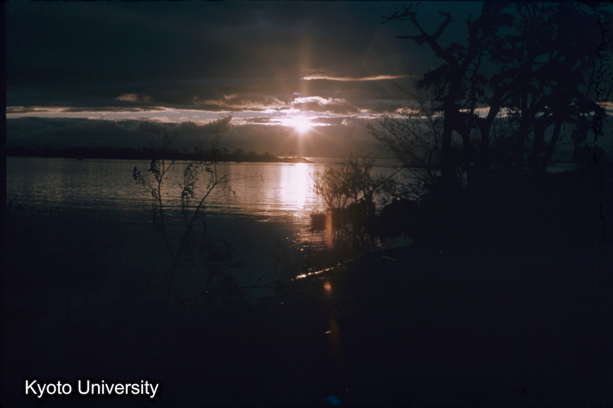 横須賀町北　上野町（1959） (1)