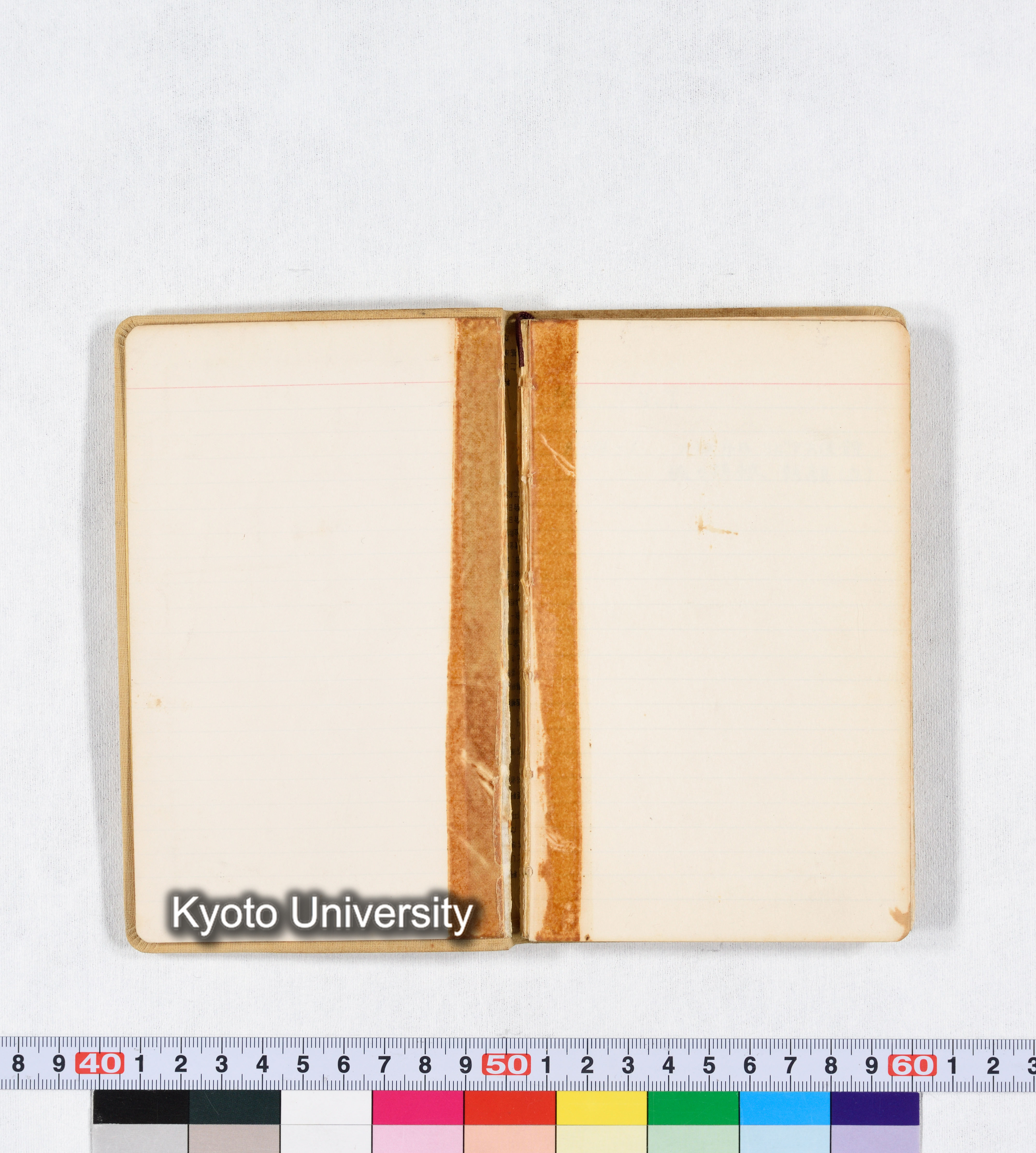 採集 BMUK I 1959 (1)