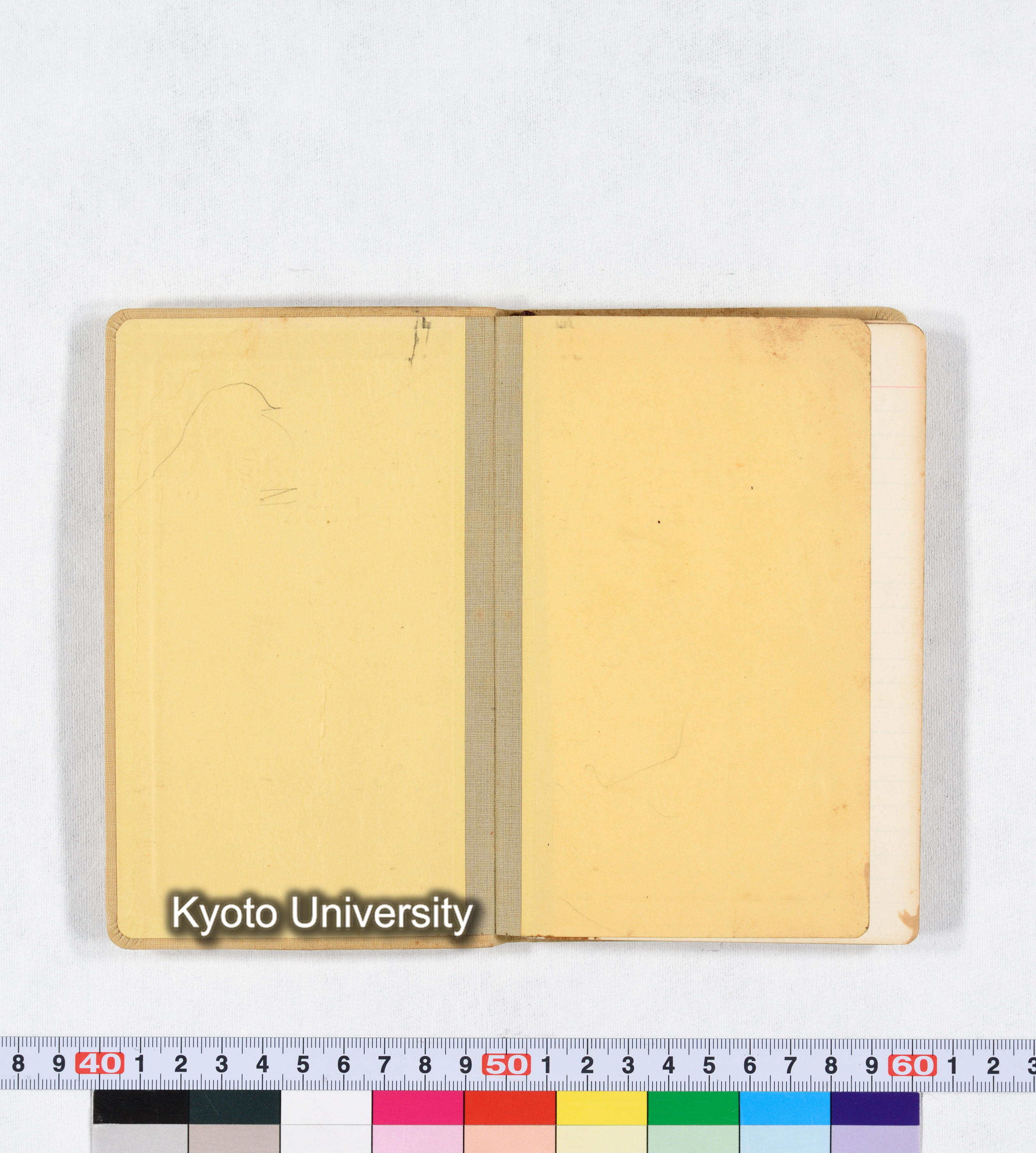 採集 BMUK I 1959 (2)