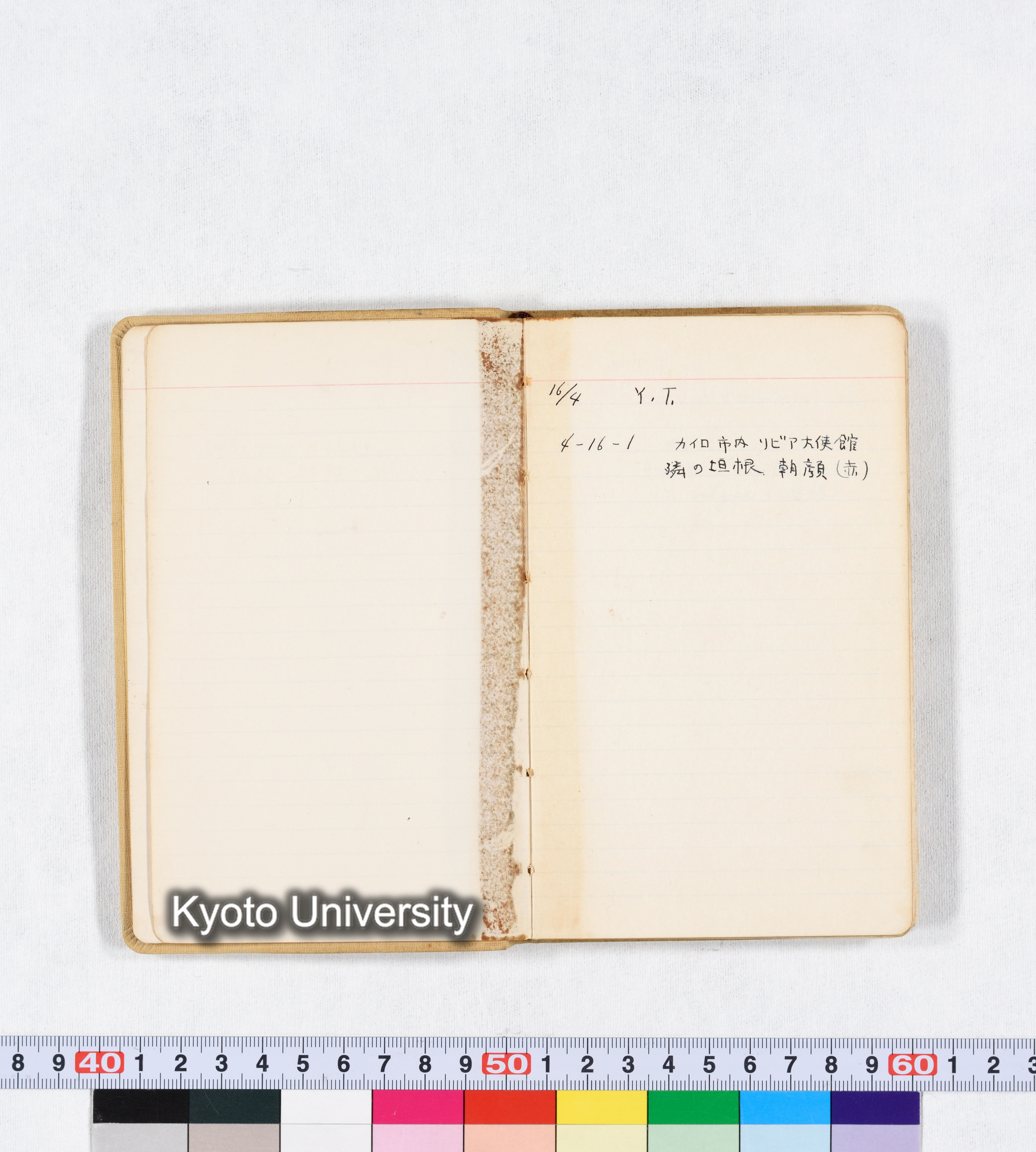 採集 BMUK I 1959 (5)