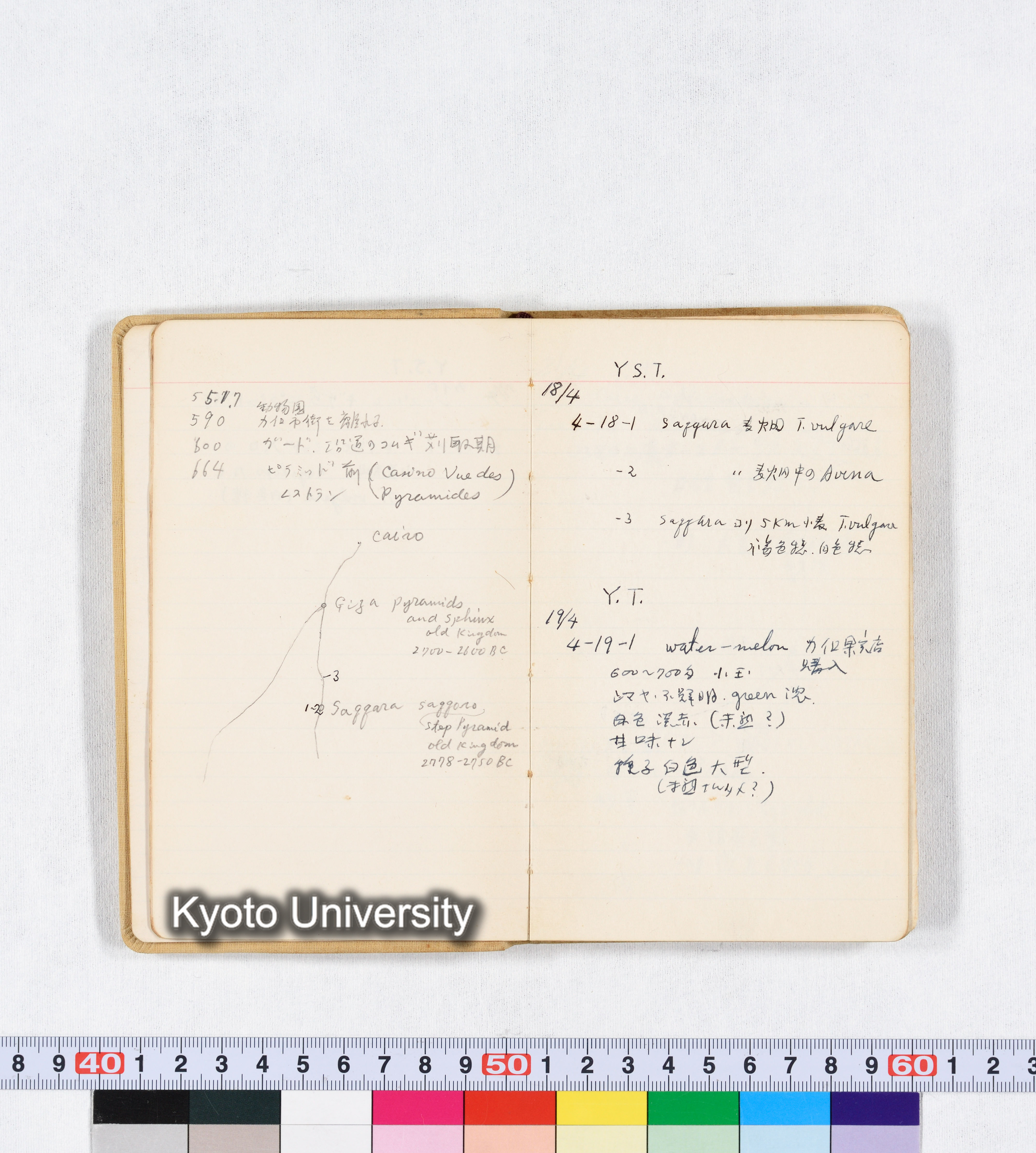 採集 BMUK I 1959 (6)