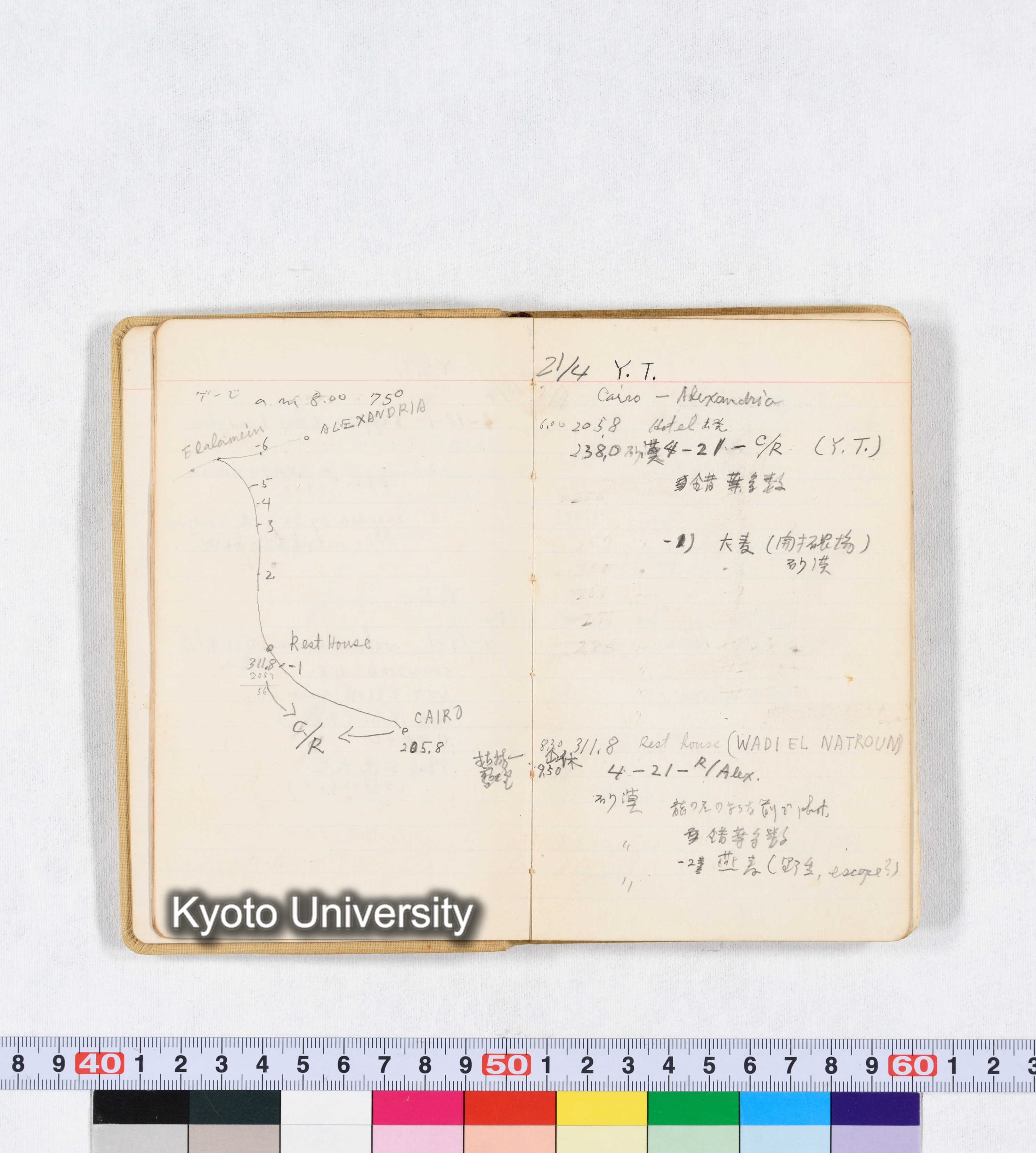 採集 BMUK I 1959 (7)