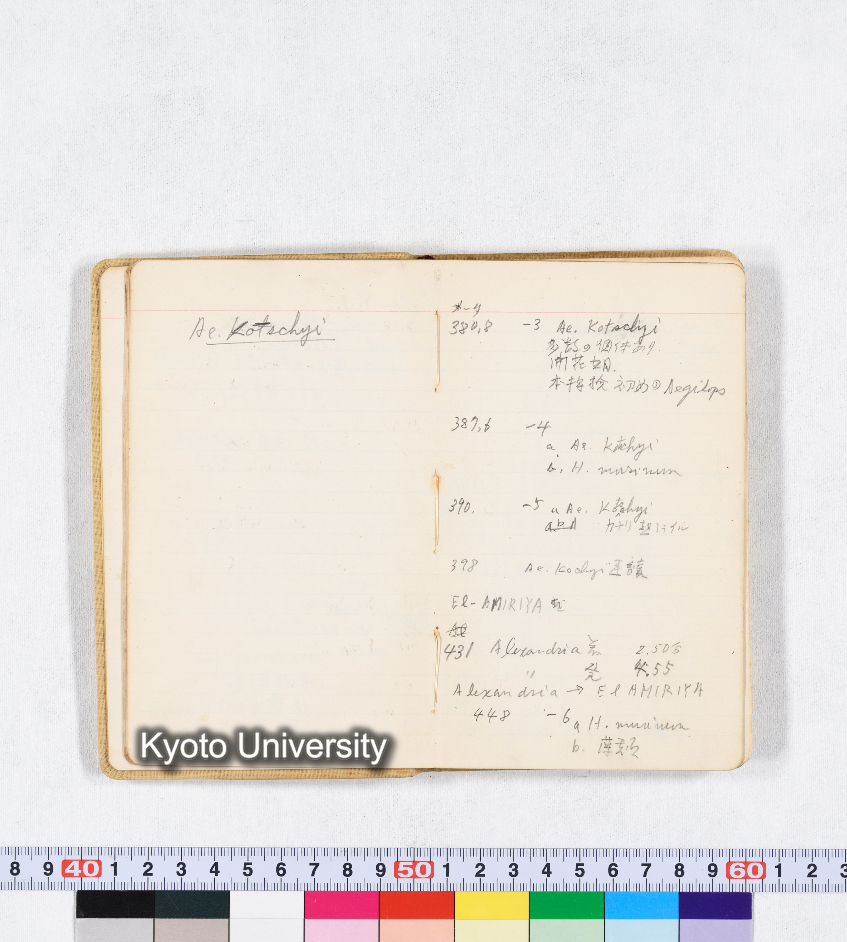 採集 BMUK I 1959 (8)