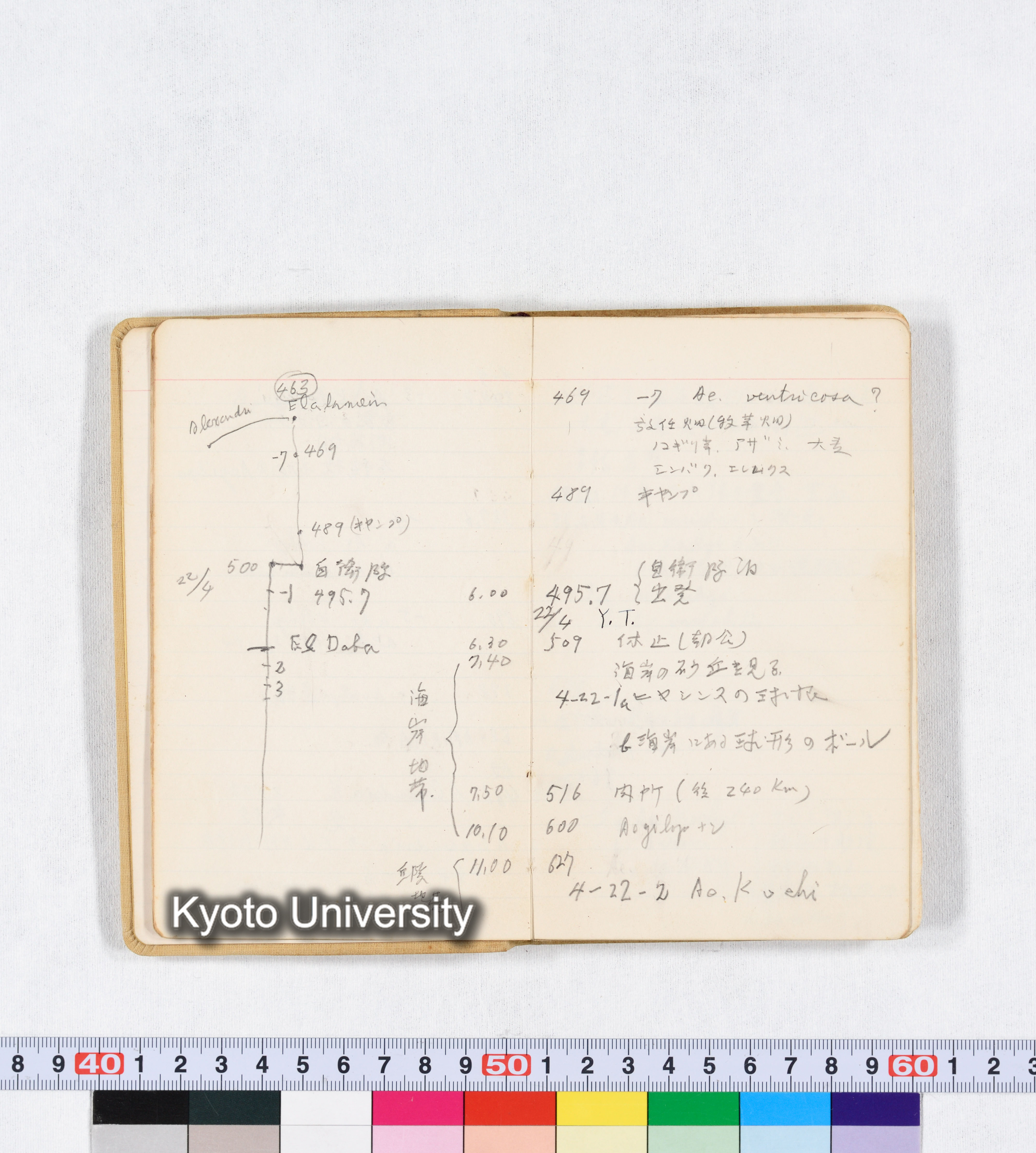 採集 BMUK I 1959 (9)