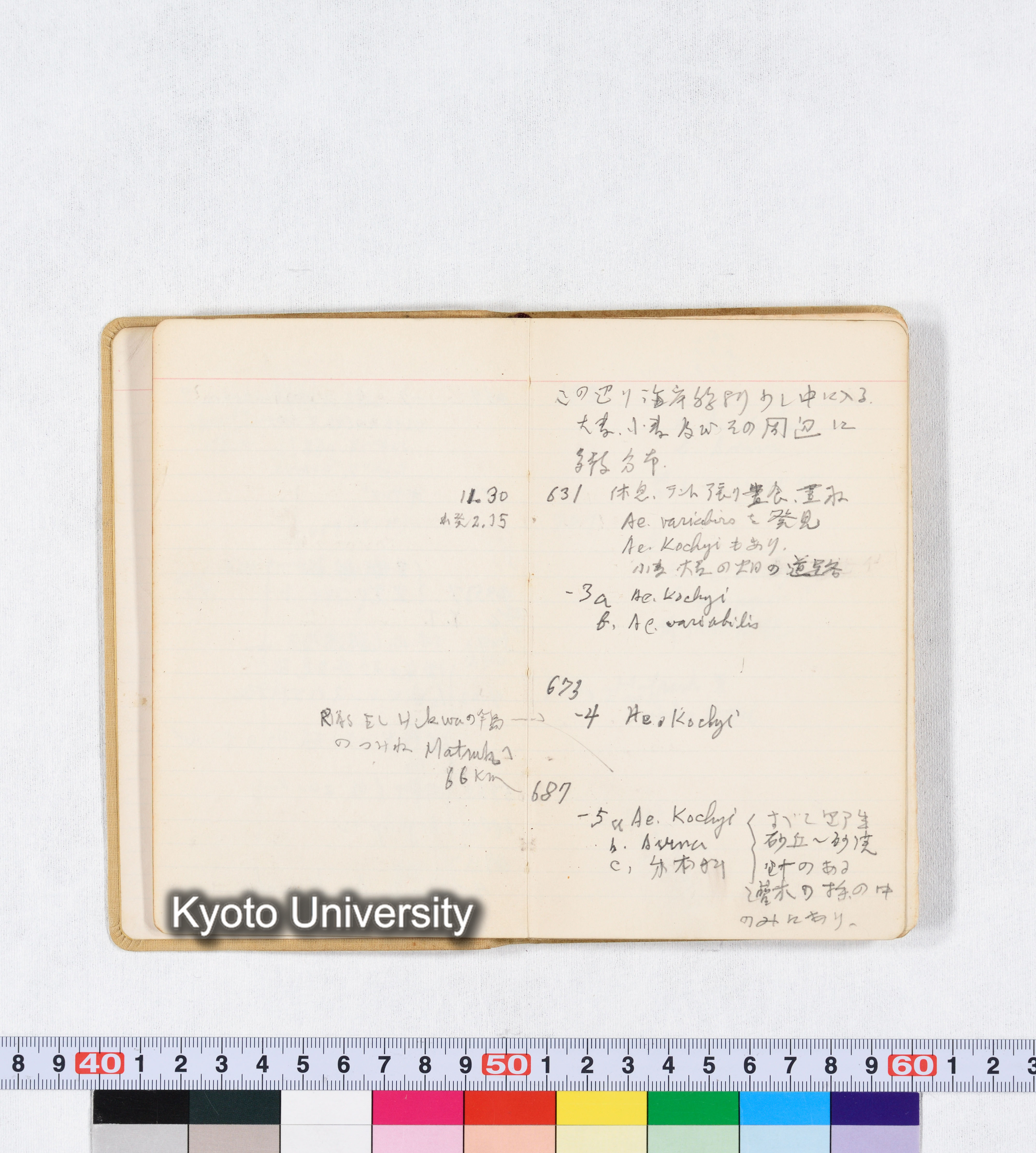 採集 BMUK I 1959 (10)