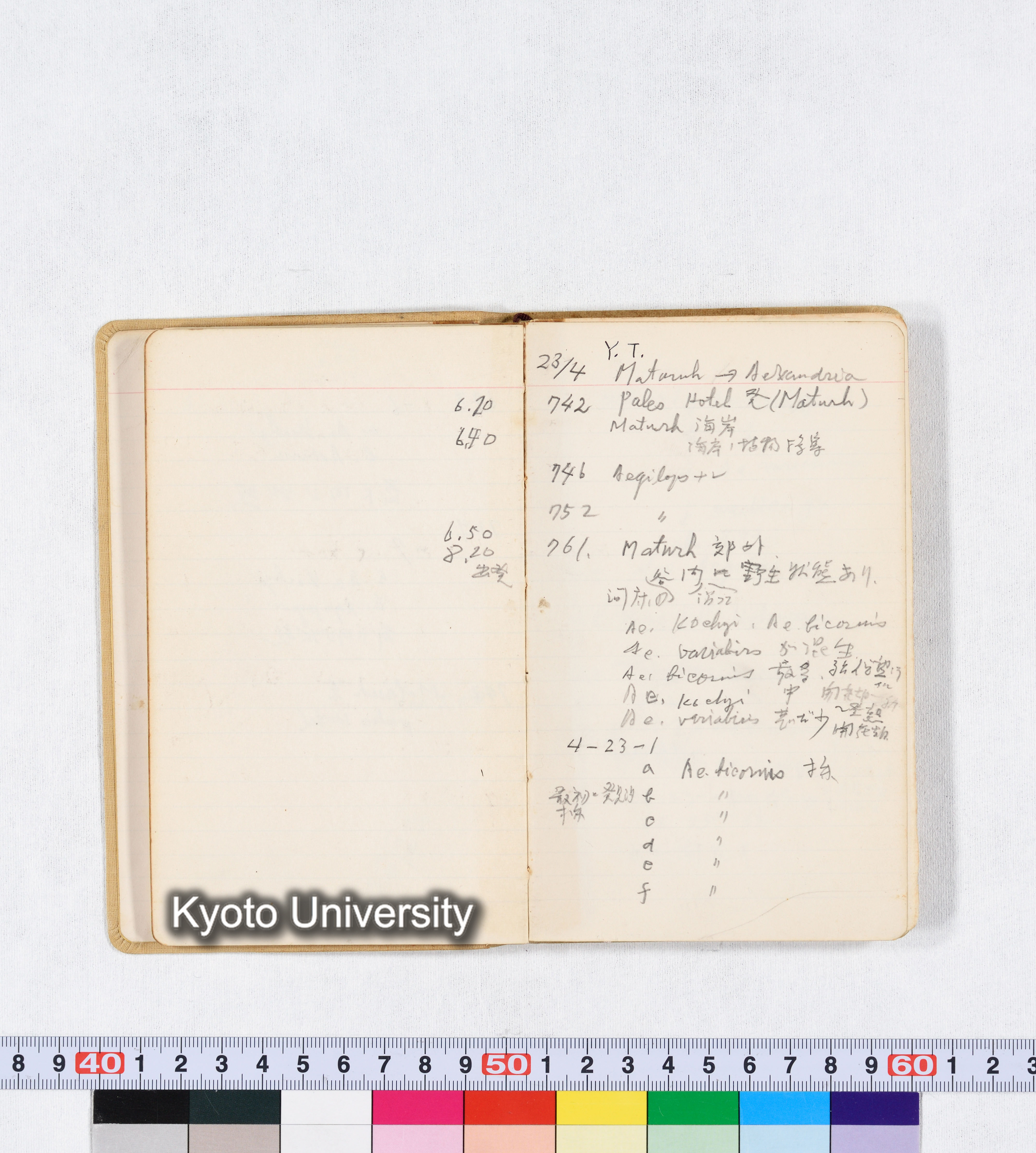 採集 BMUK I 1959 (12)