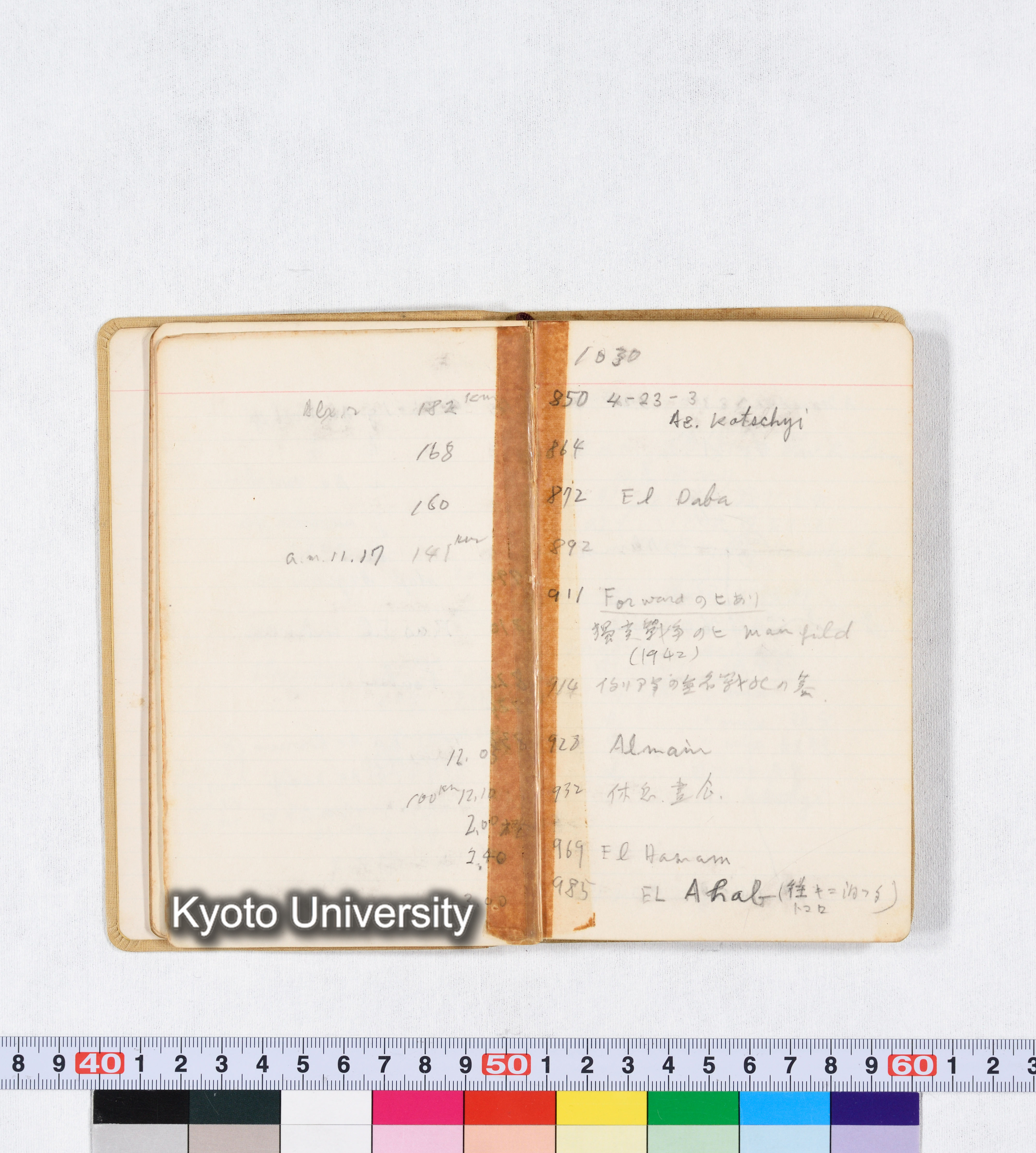 採集 BMUK I 1959 (14)