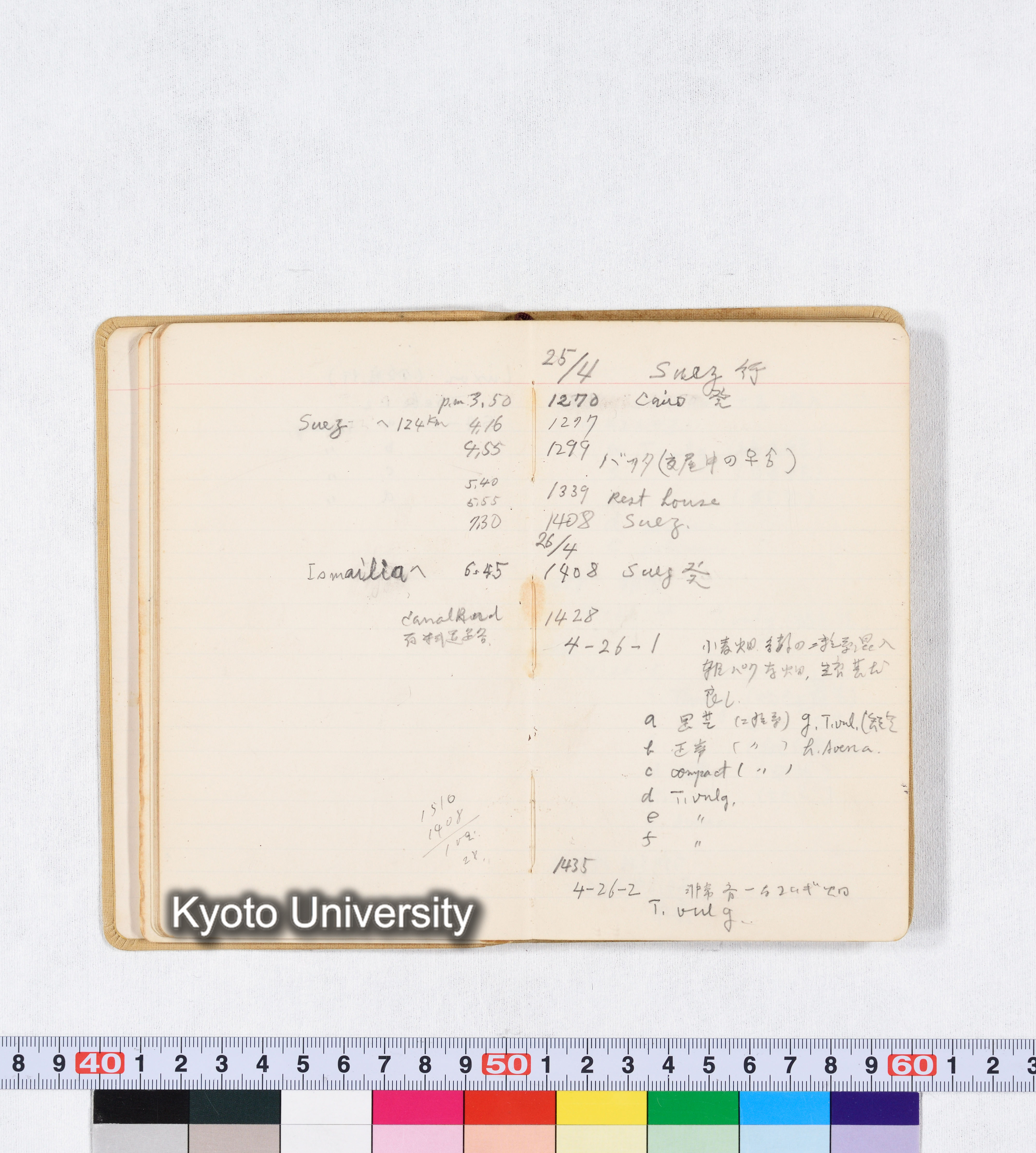 採集 BMUK I 1959 (20)