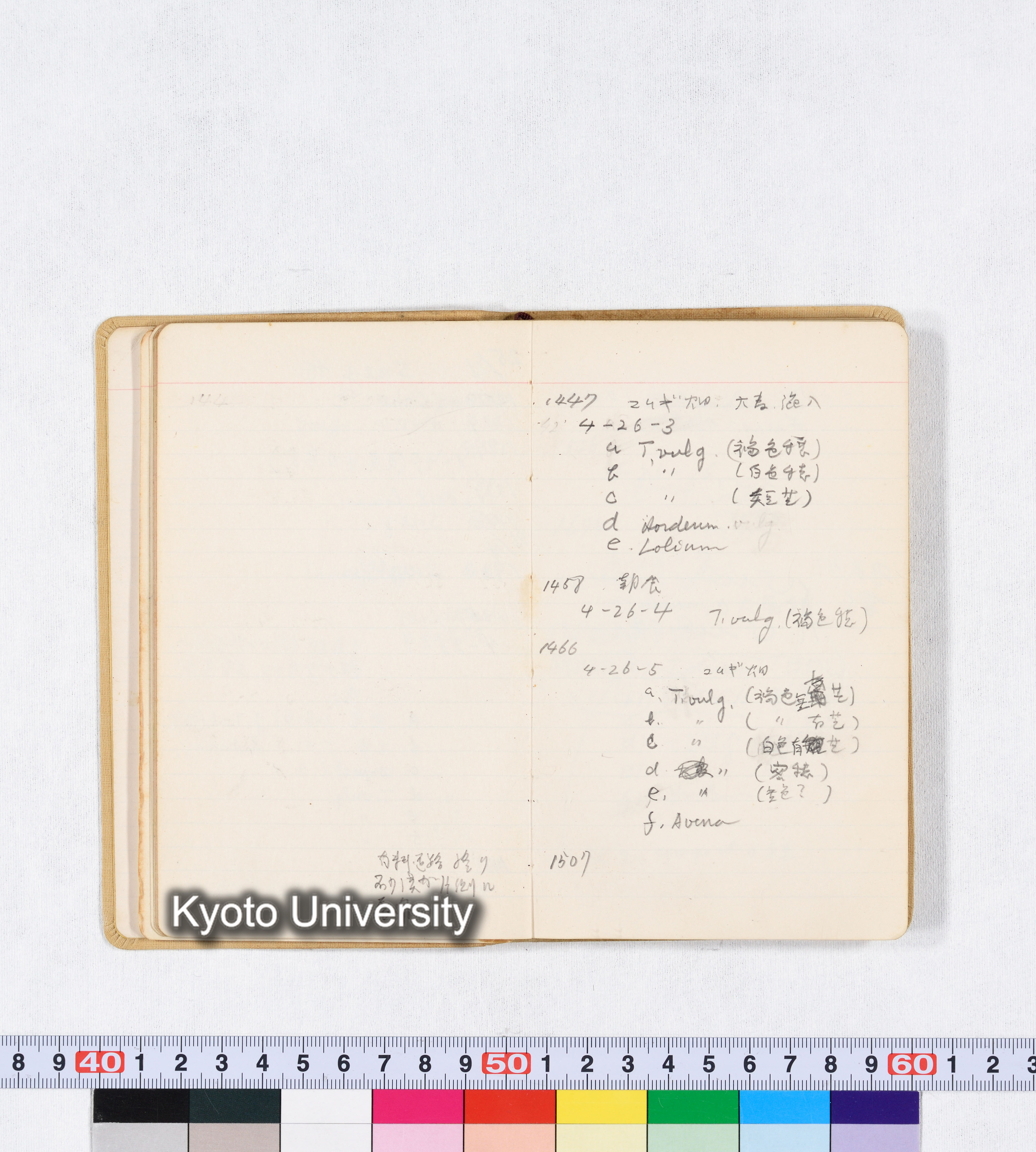 採集 BMUK I 1959 (21)