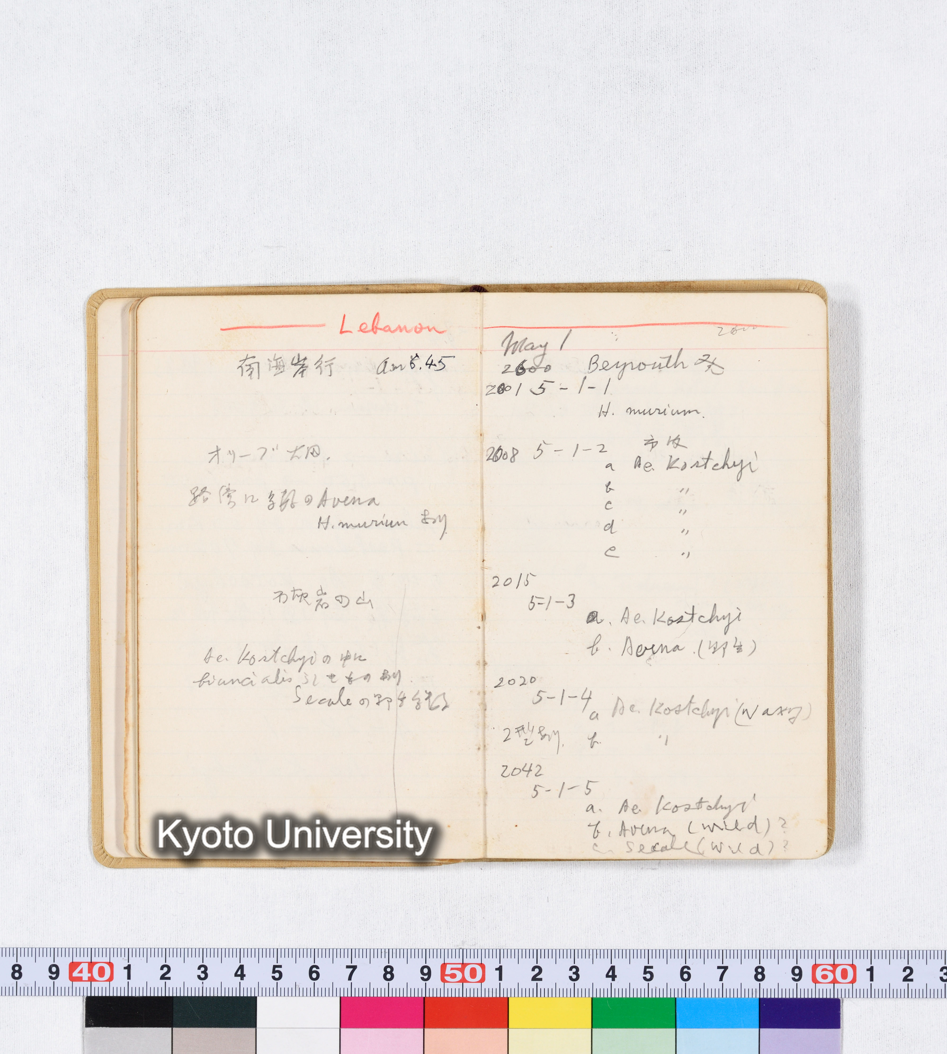 採集 BMUK I 1959 (24)