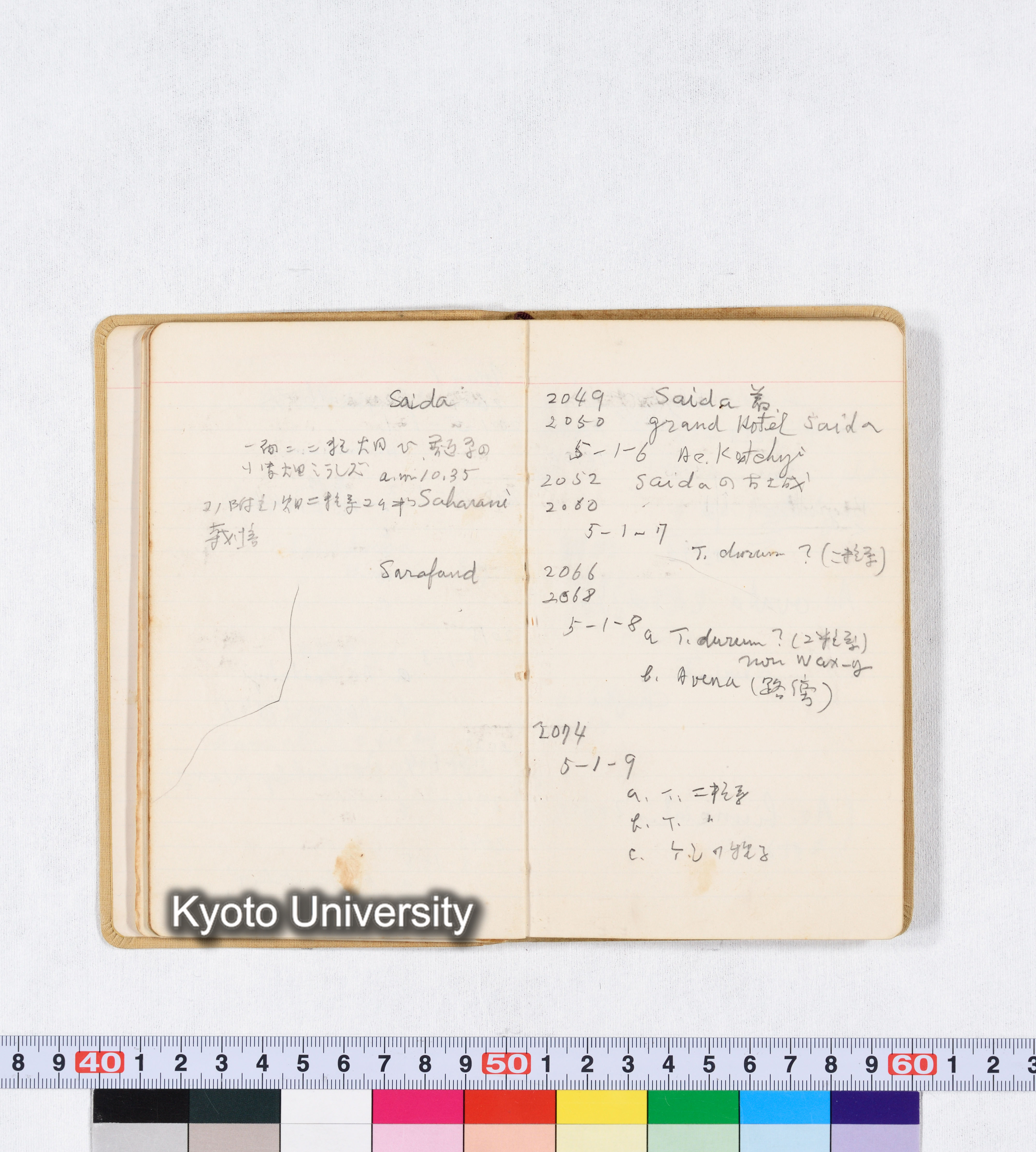 採集 BMUK I 1959 (25)