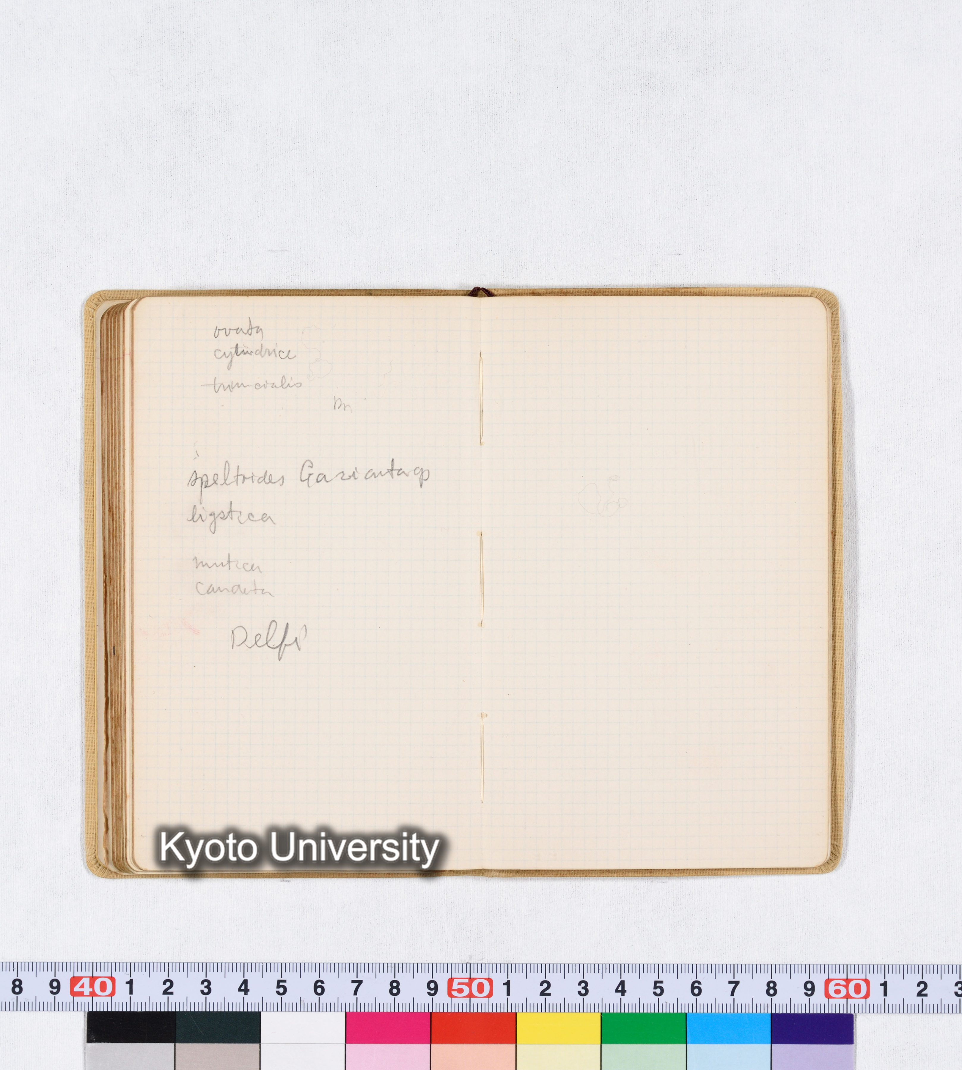 採集 BMUK I 1959 (80)