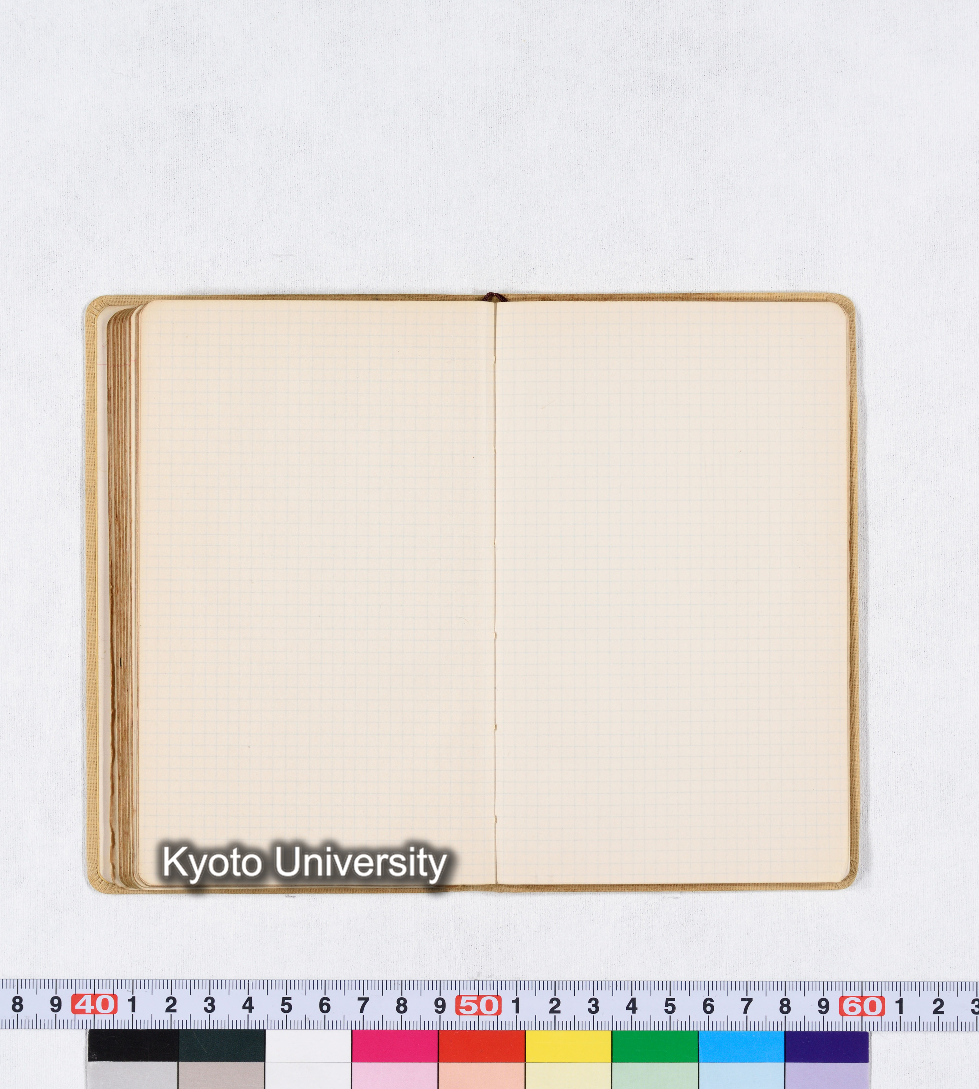 採集 BMUK I 1959 (83)