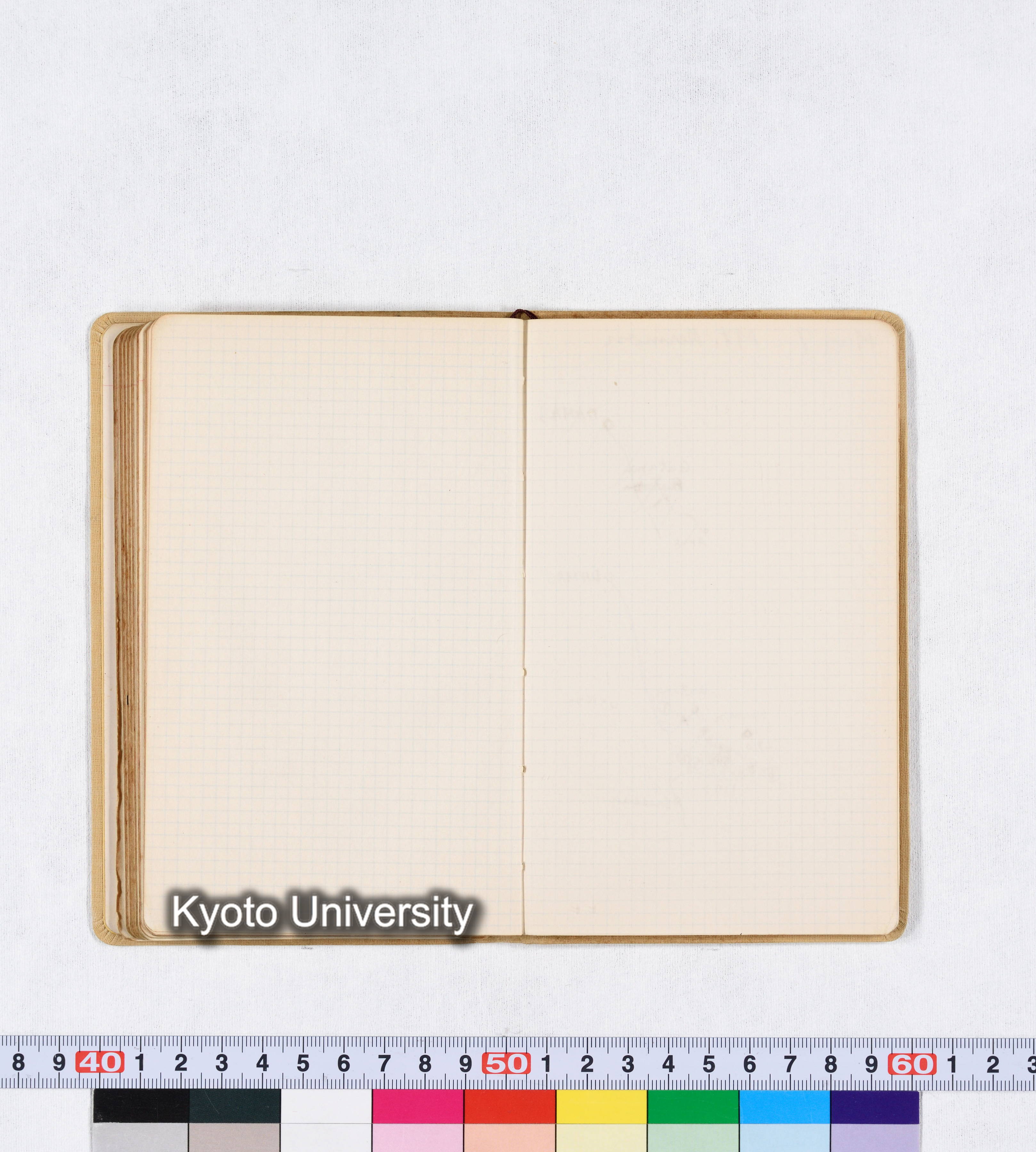 採集 BMUK I 1959 (84)