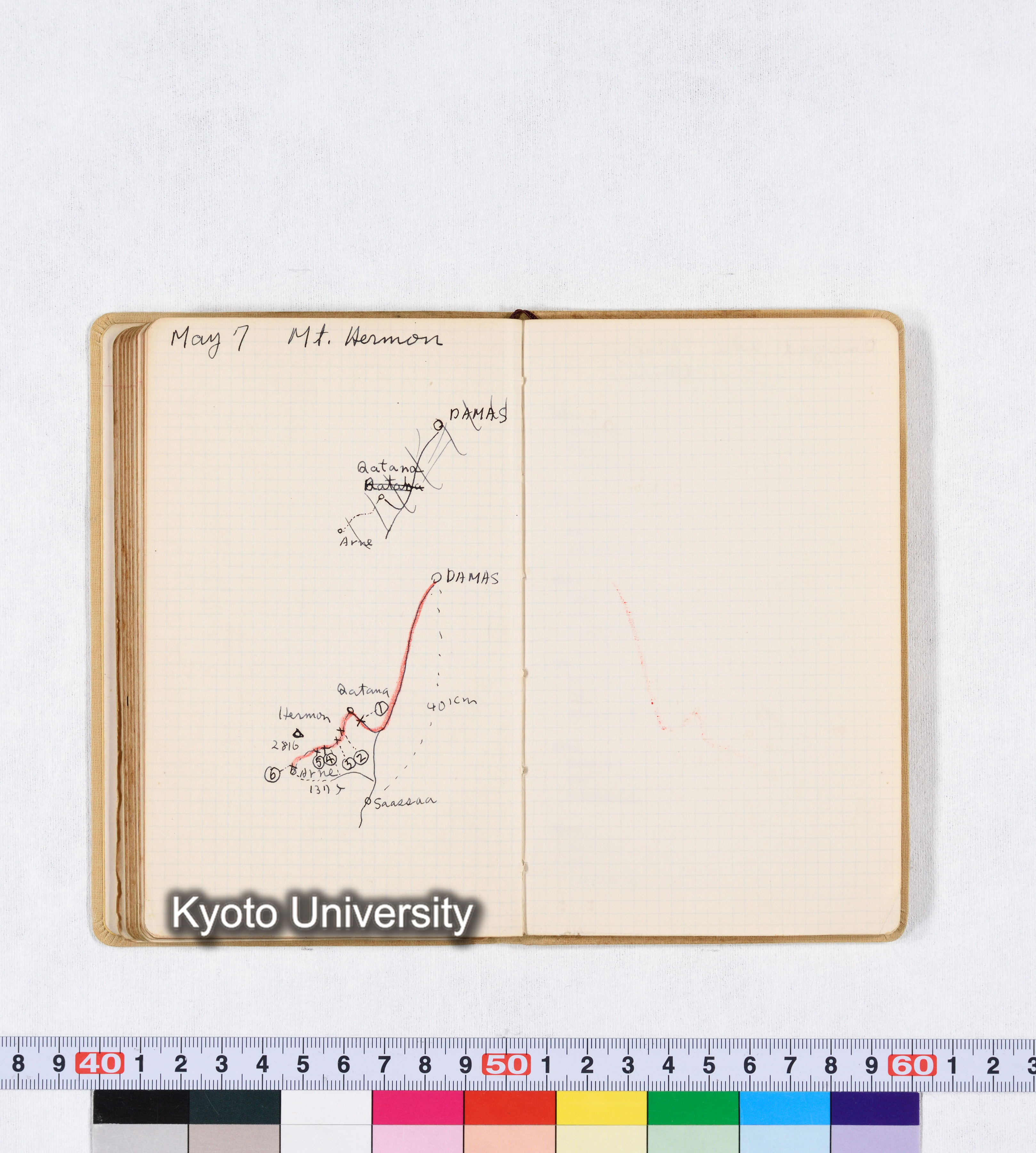 採集 BMUK I 1959 (85)