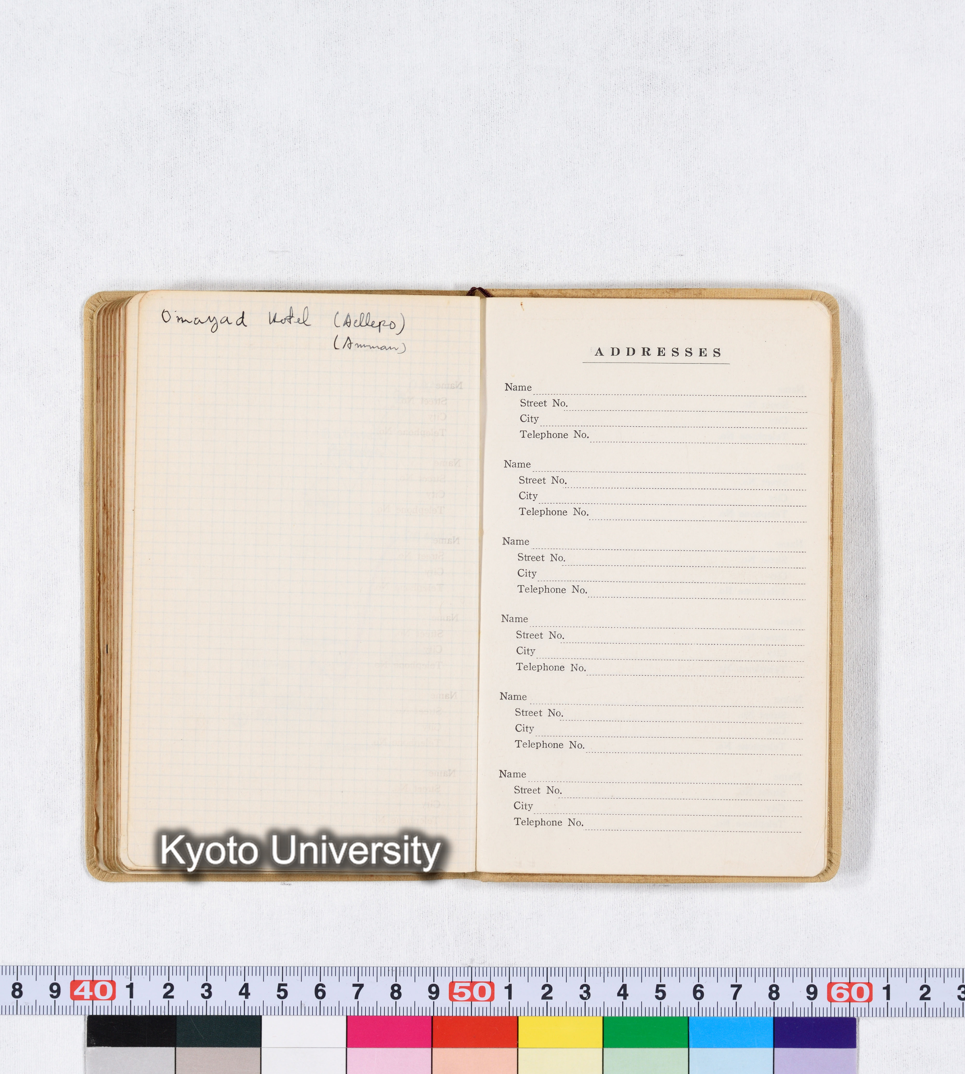 採集 BMUK I 1959 (86)