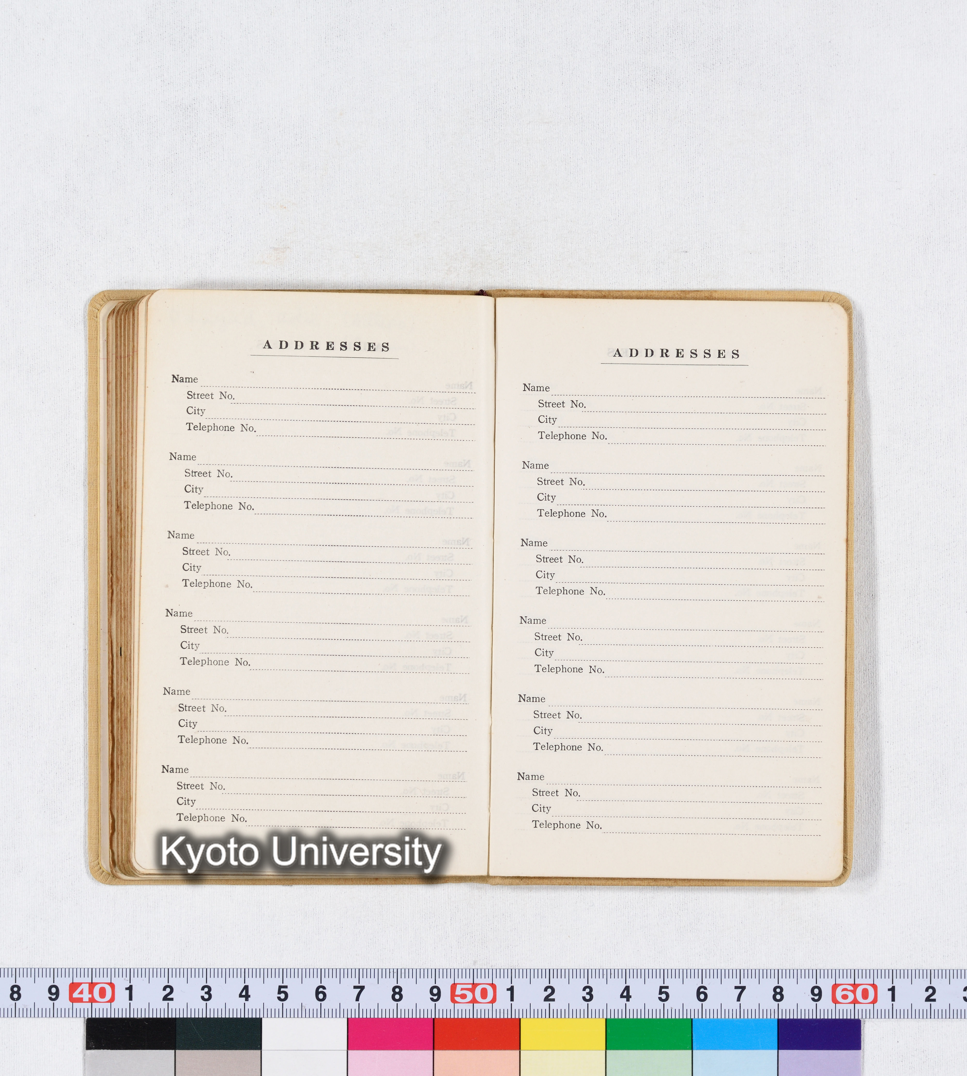 採集 BMUK I 1959 (87)