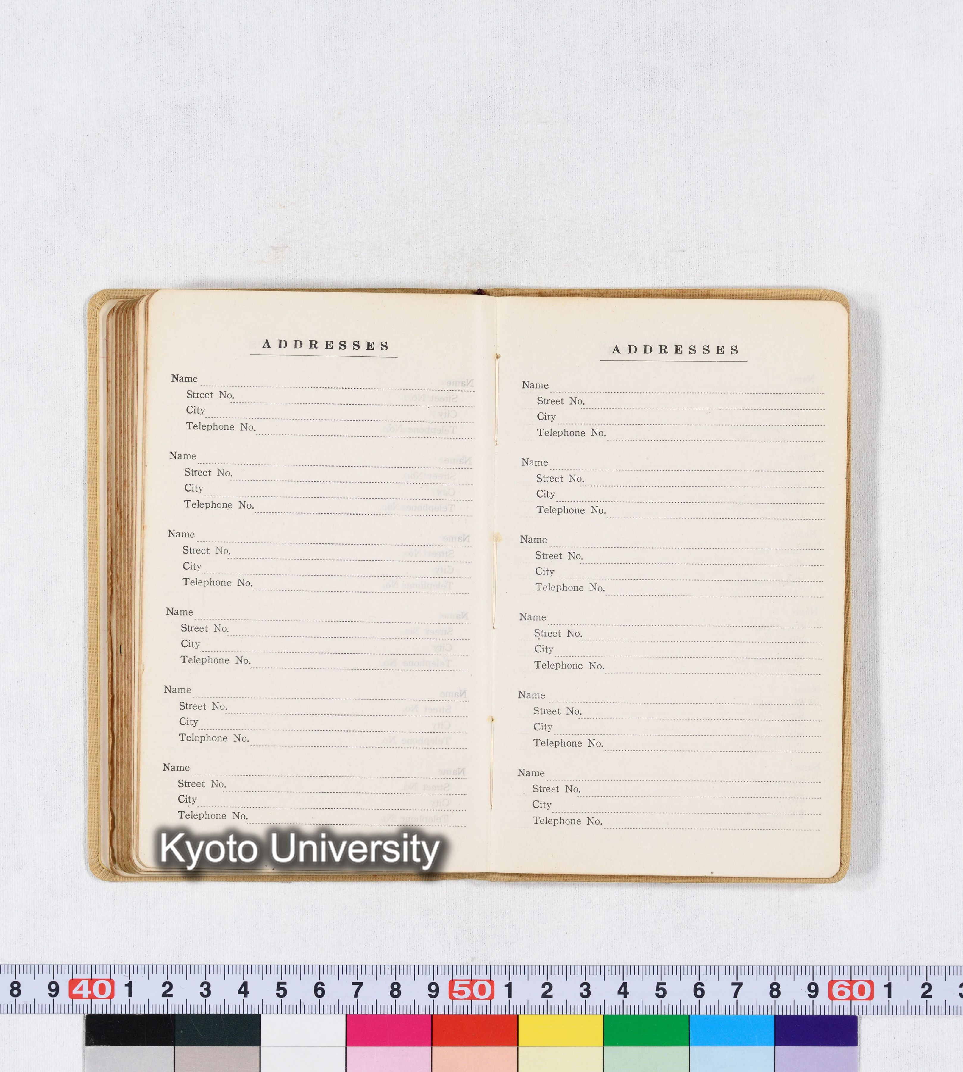 採集 BMUK I 1959 (89)