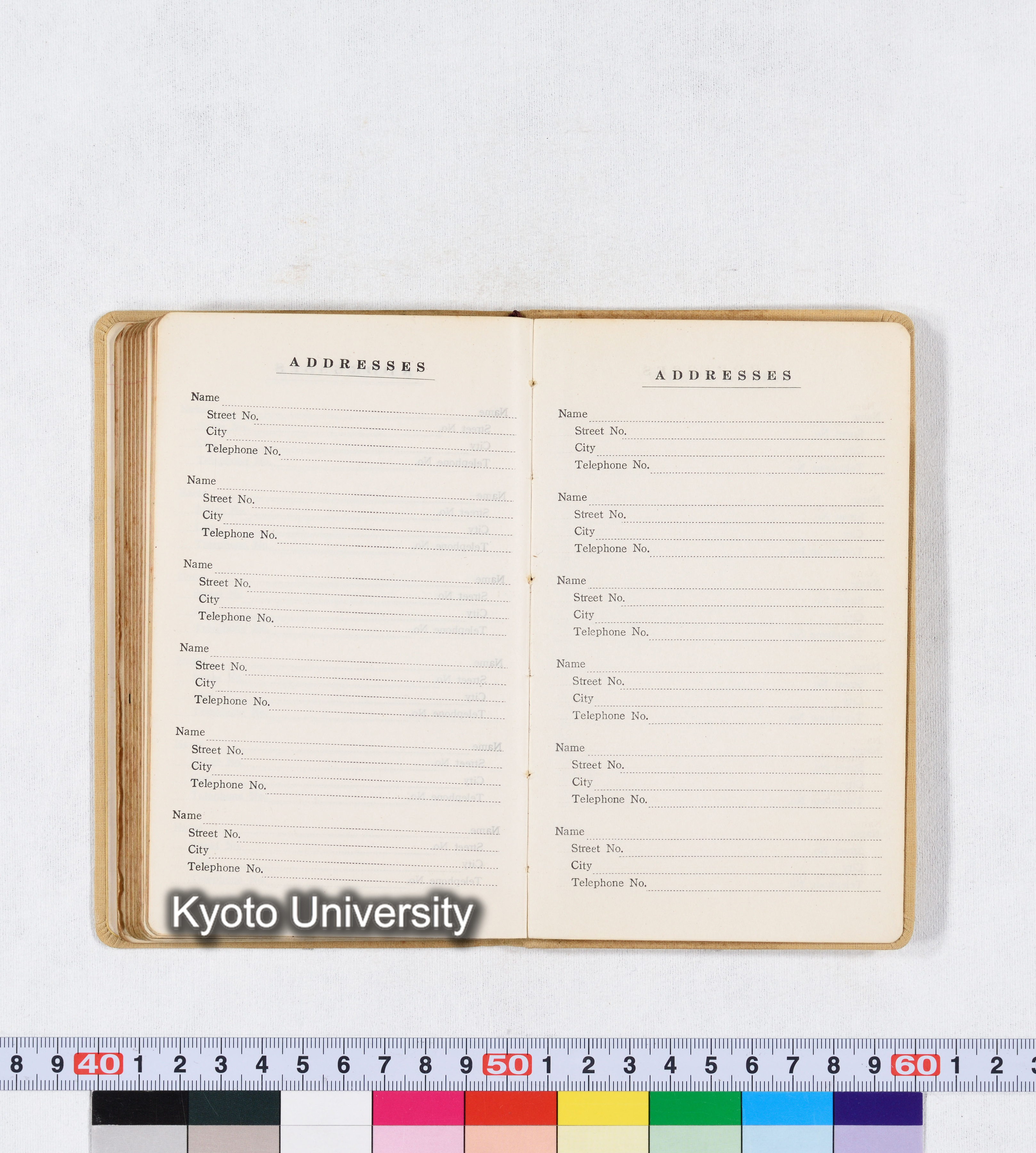 採集 BMUK I 1959 (90)