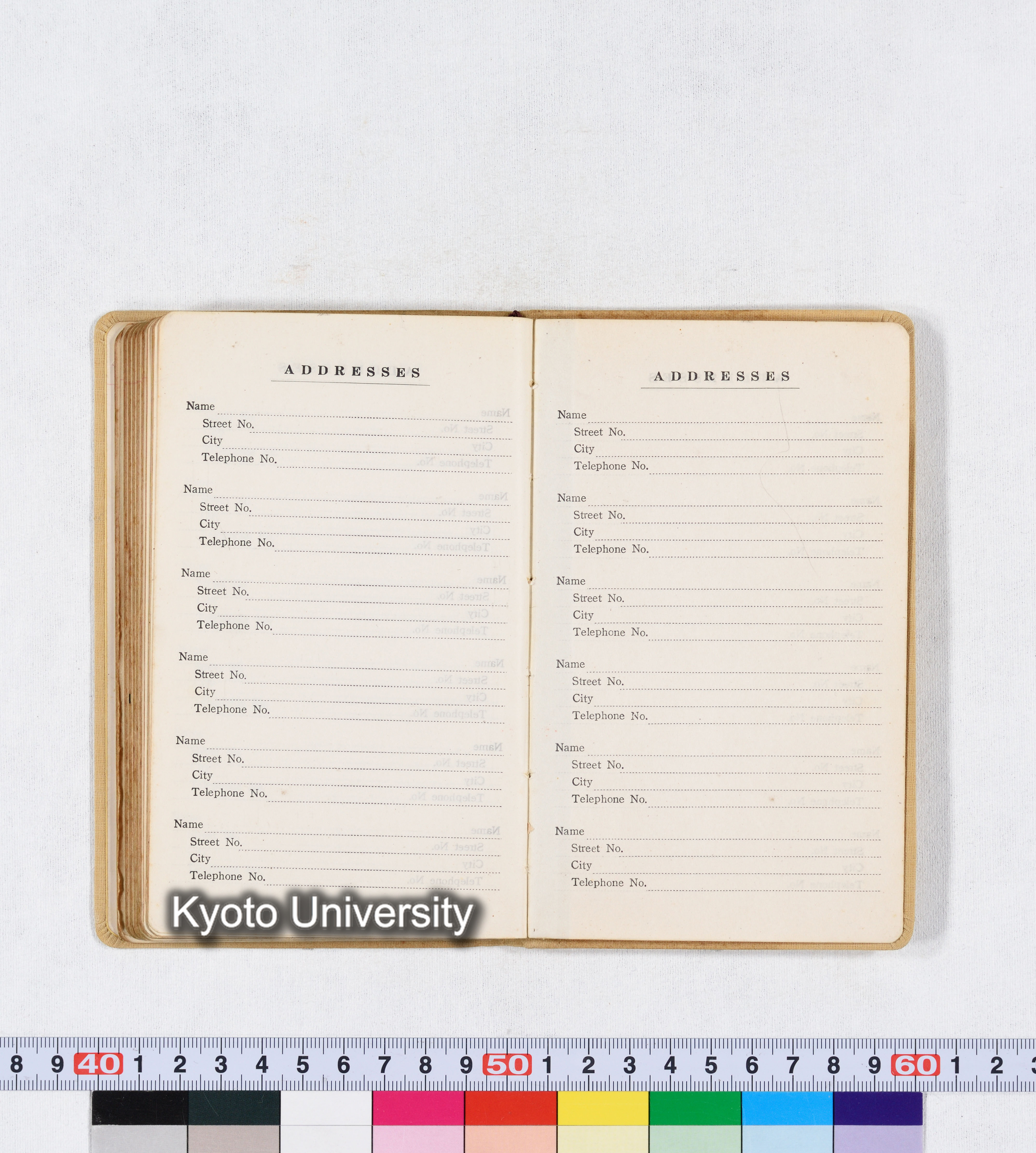 採集 BMUK I 1959 (91)