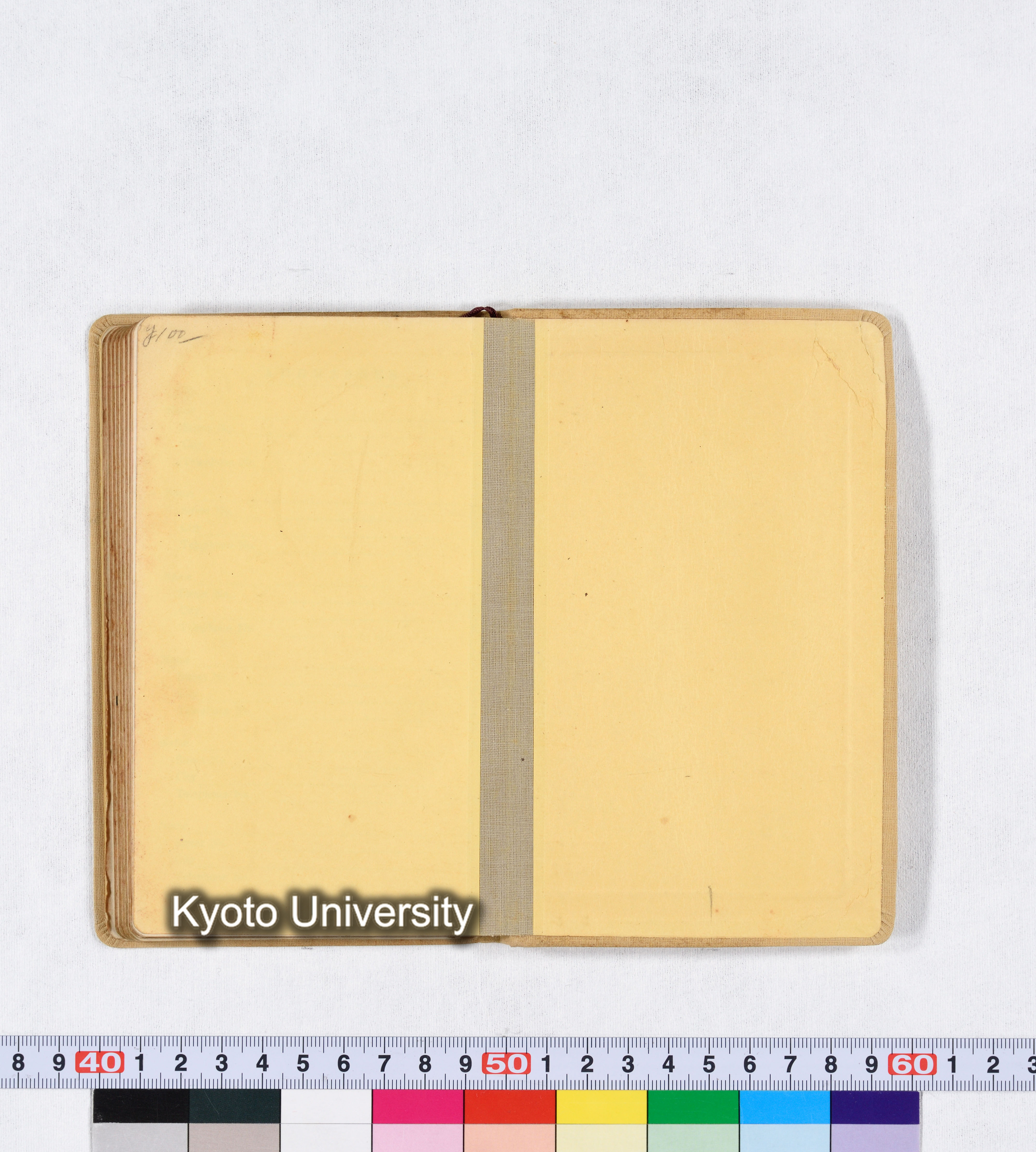 採集 BMUK I 1959 (92)