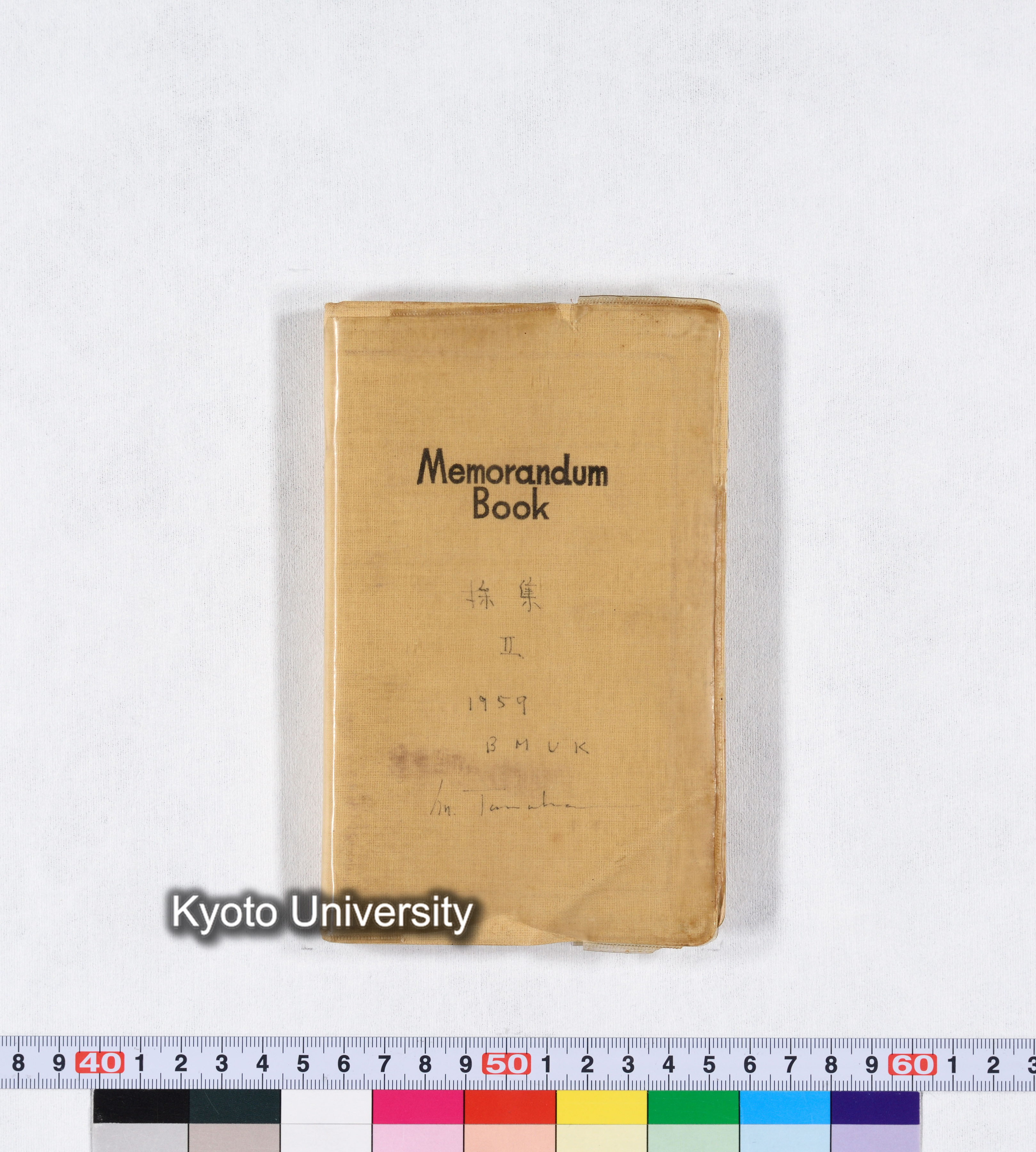 採集 II 1959 BMUK (2)