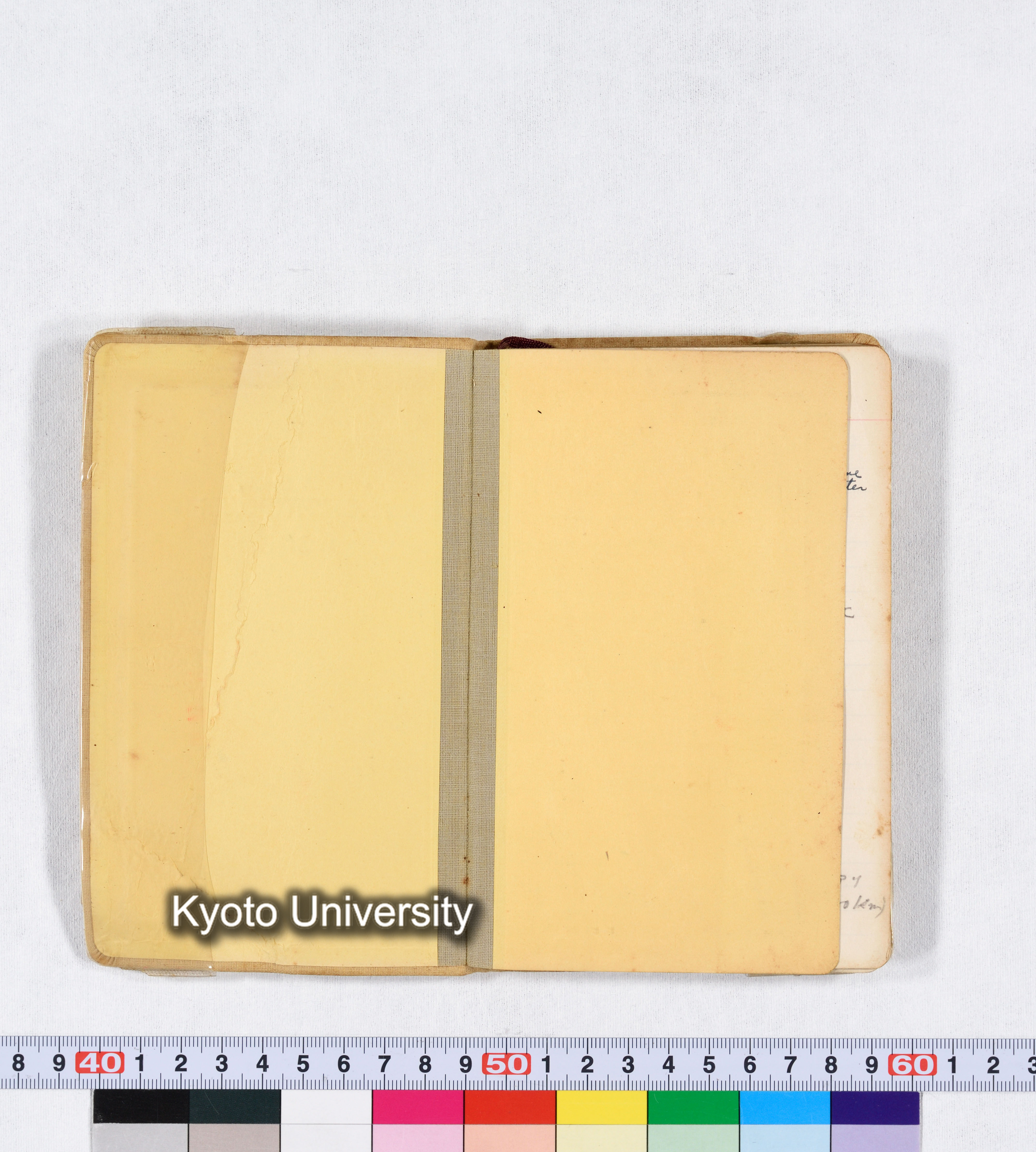 採集 II 1959 BMUK (3)