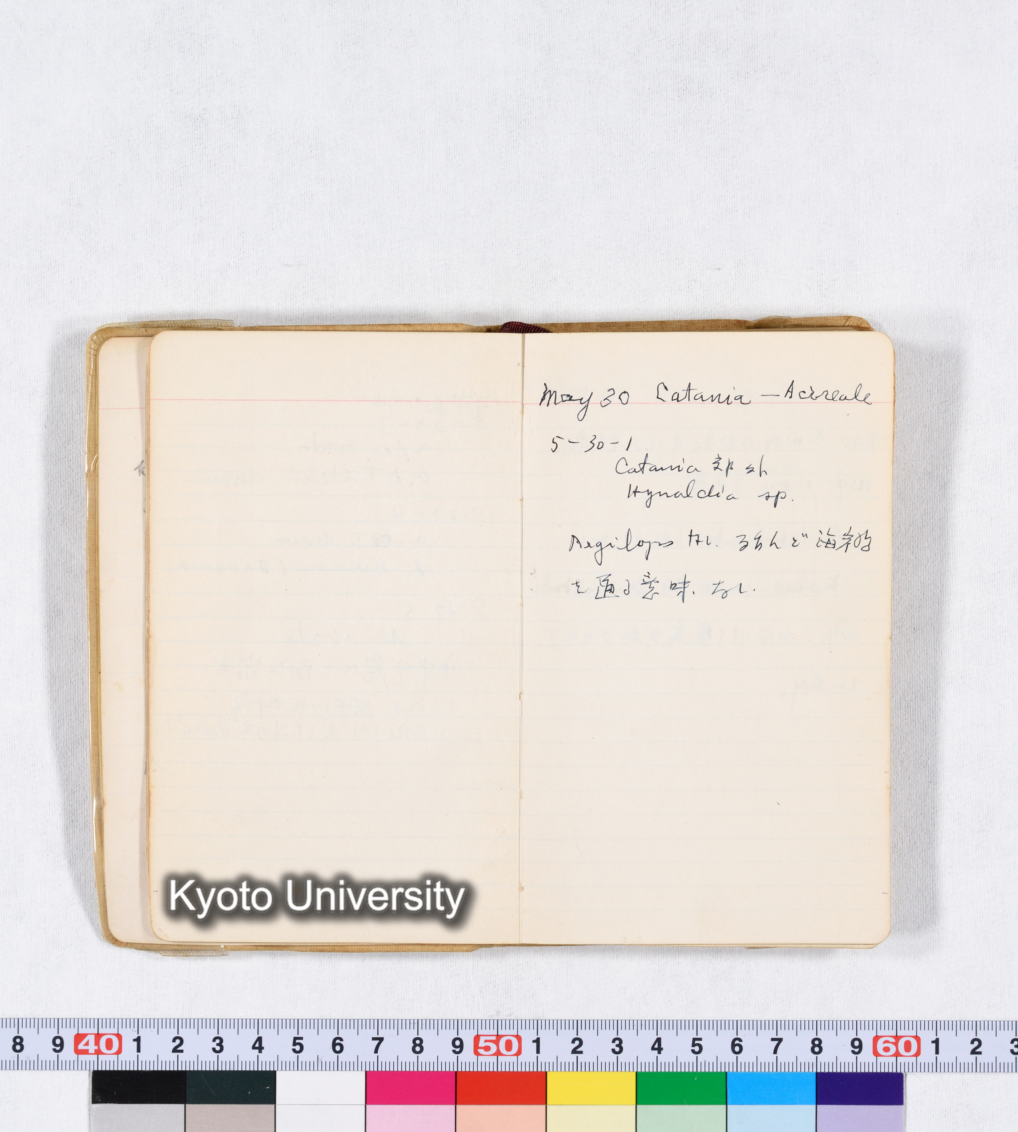 採集 II 1959 BMUK (11)