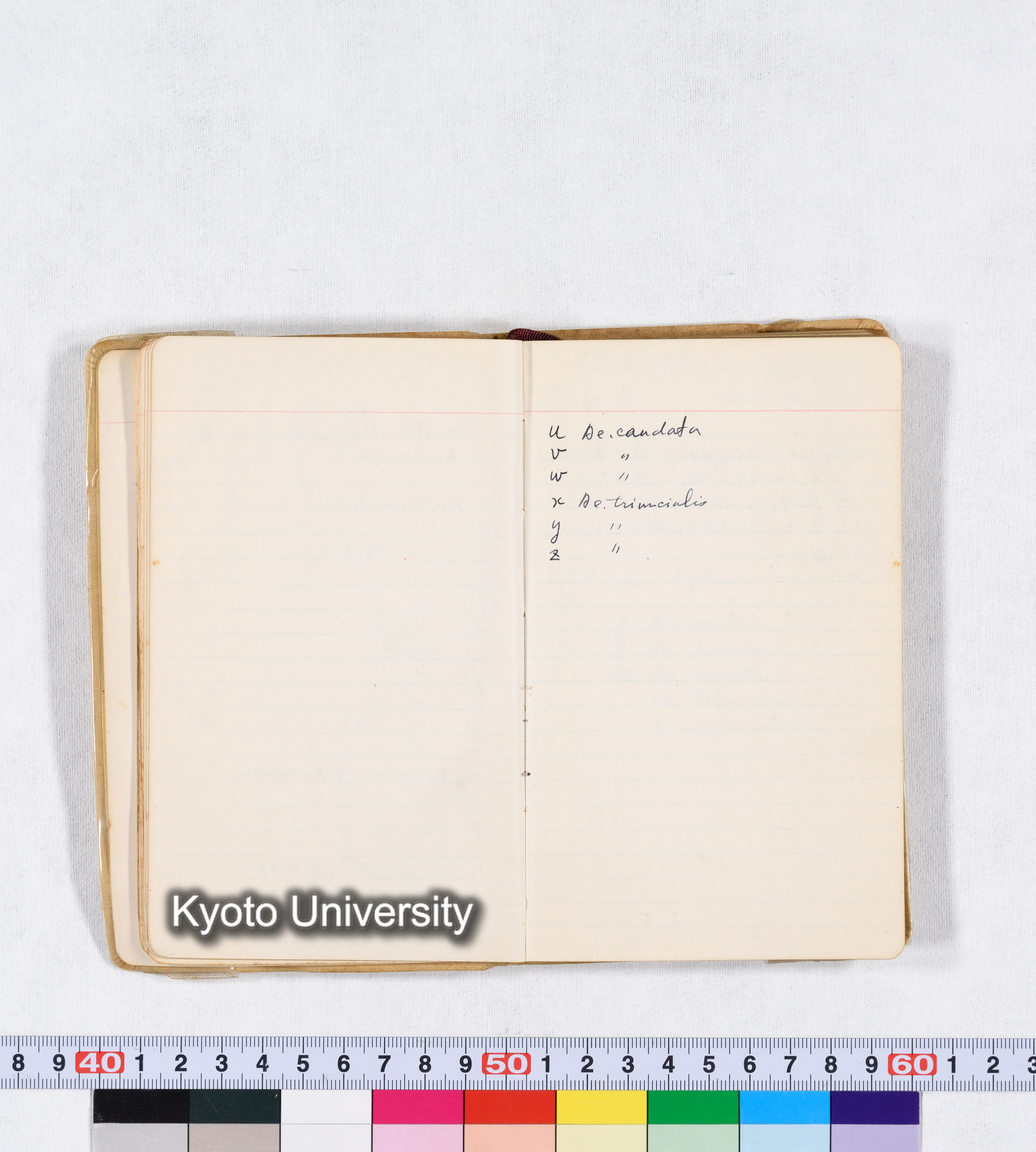 採集 II 1959 BMUK (17)