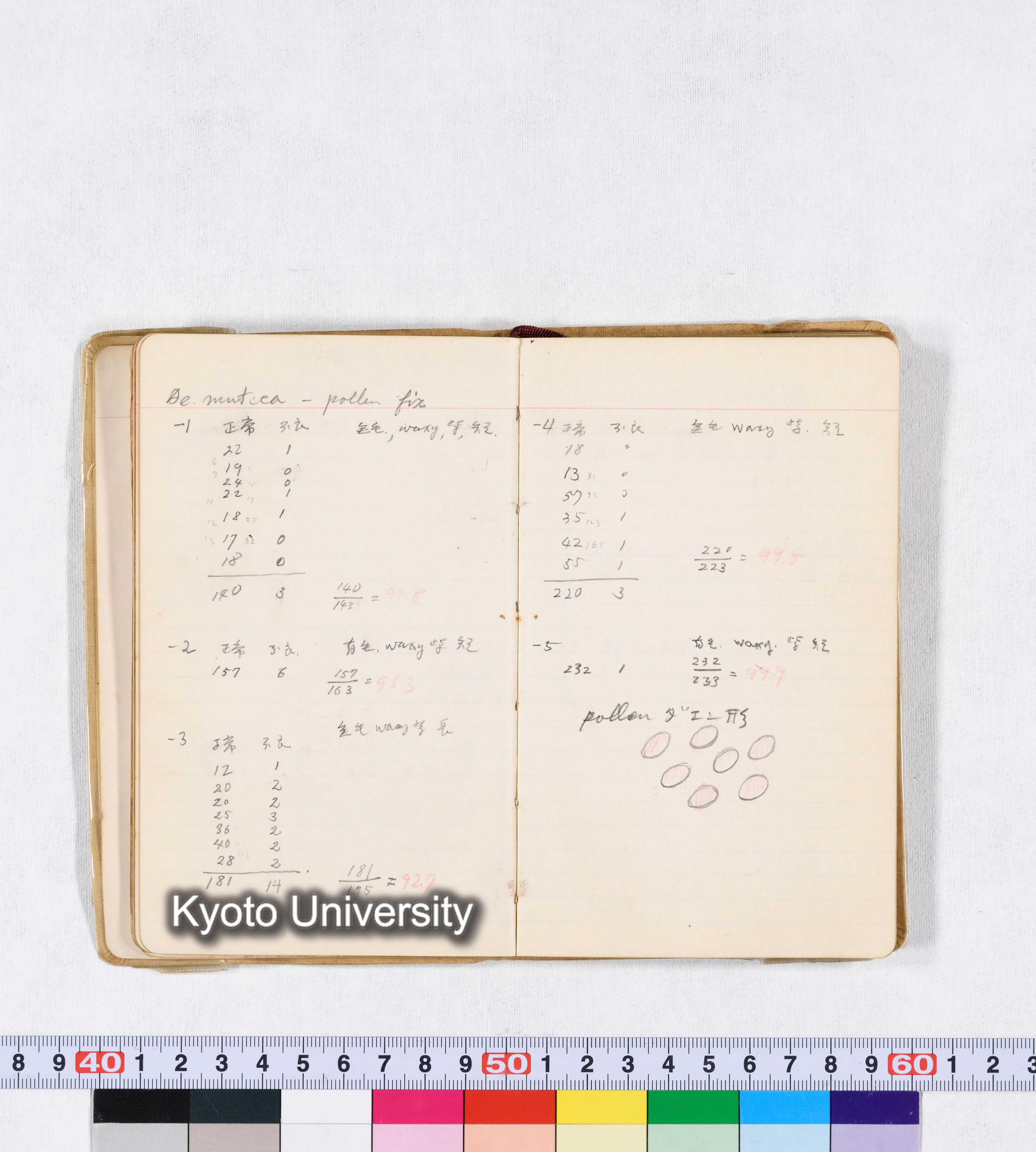 採集 II 1959 BMUK (27)