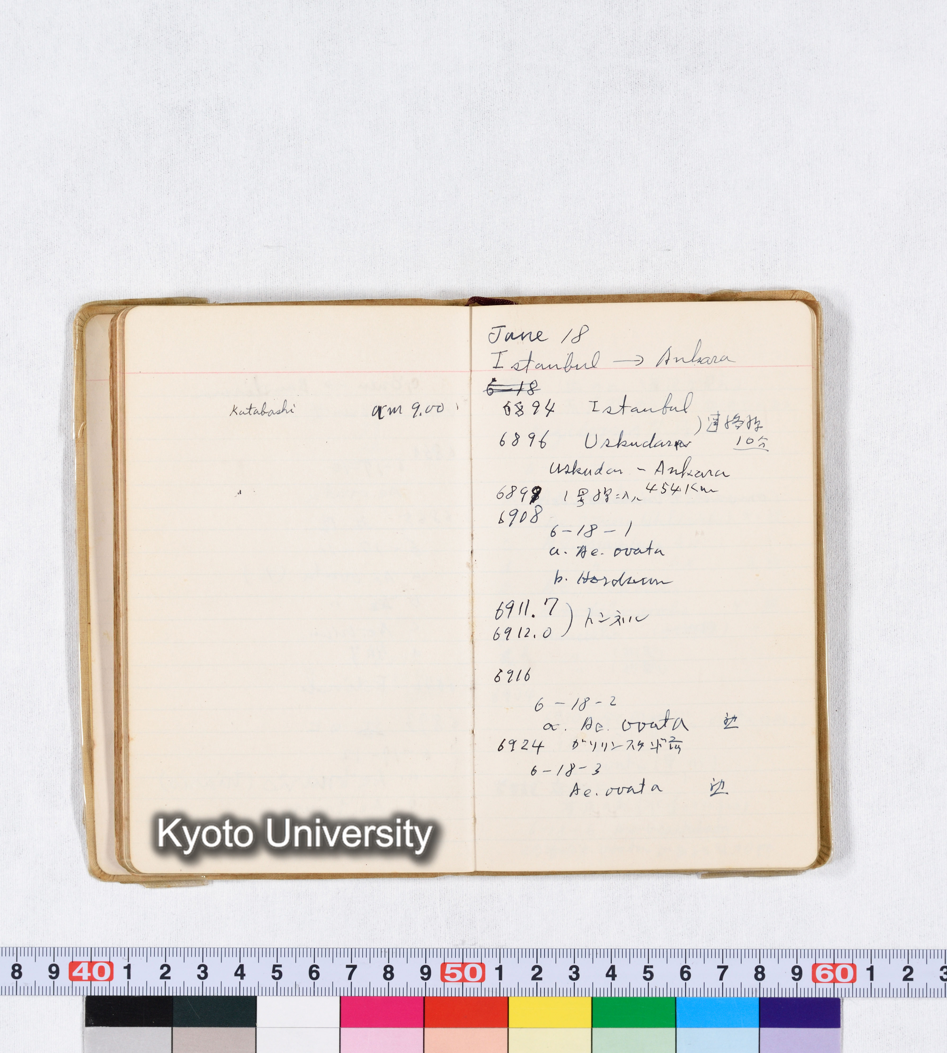 採集 II 1959 BMUK (45)