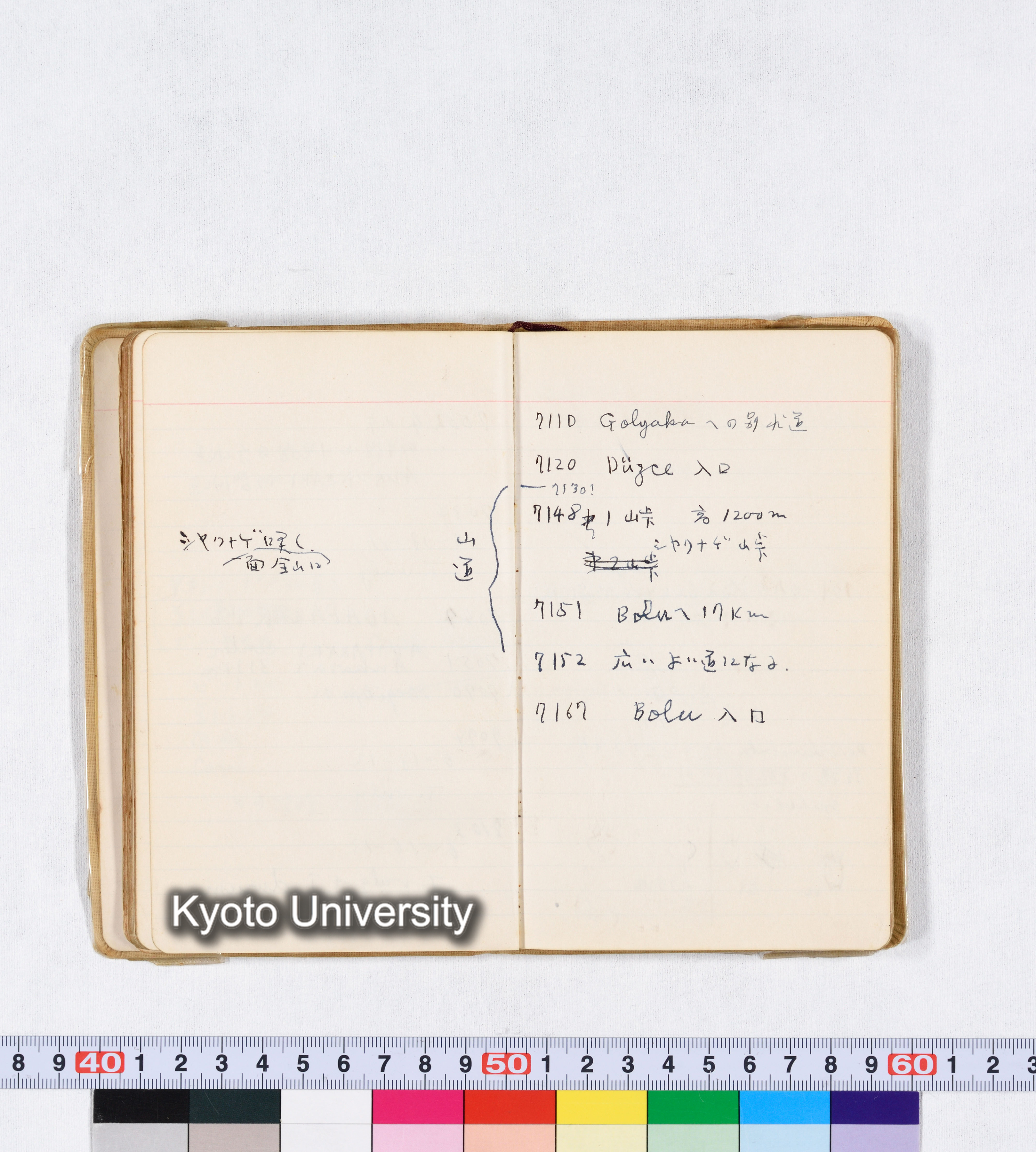 採集 II 1959 BMUK (51)