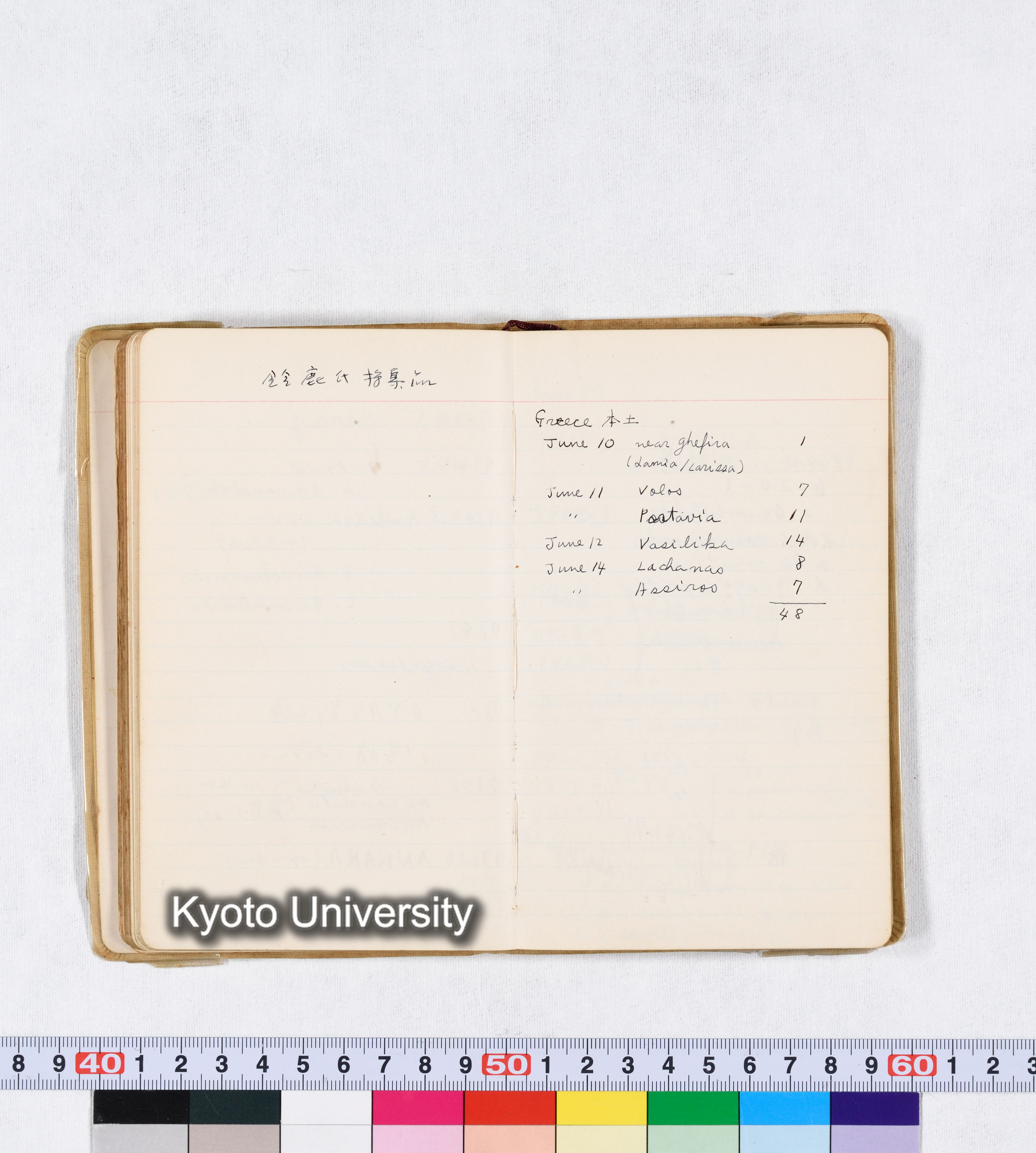 採集 II 1959 BMUK (57)