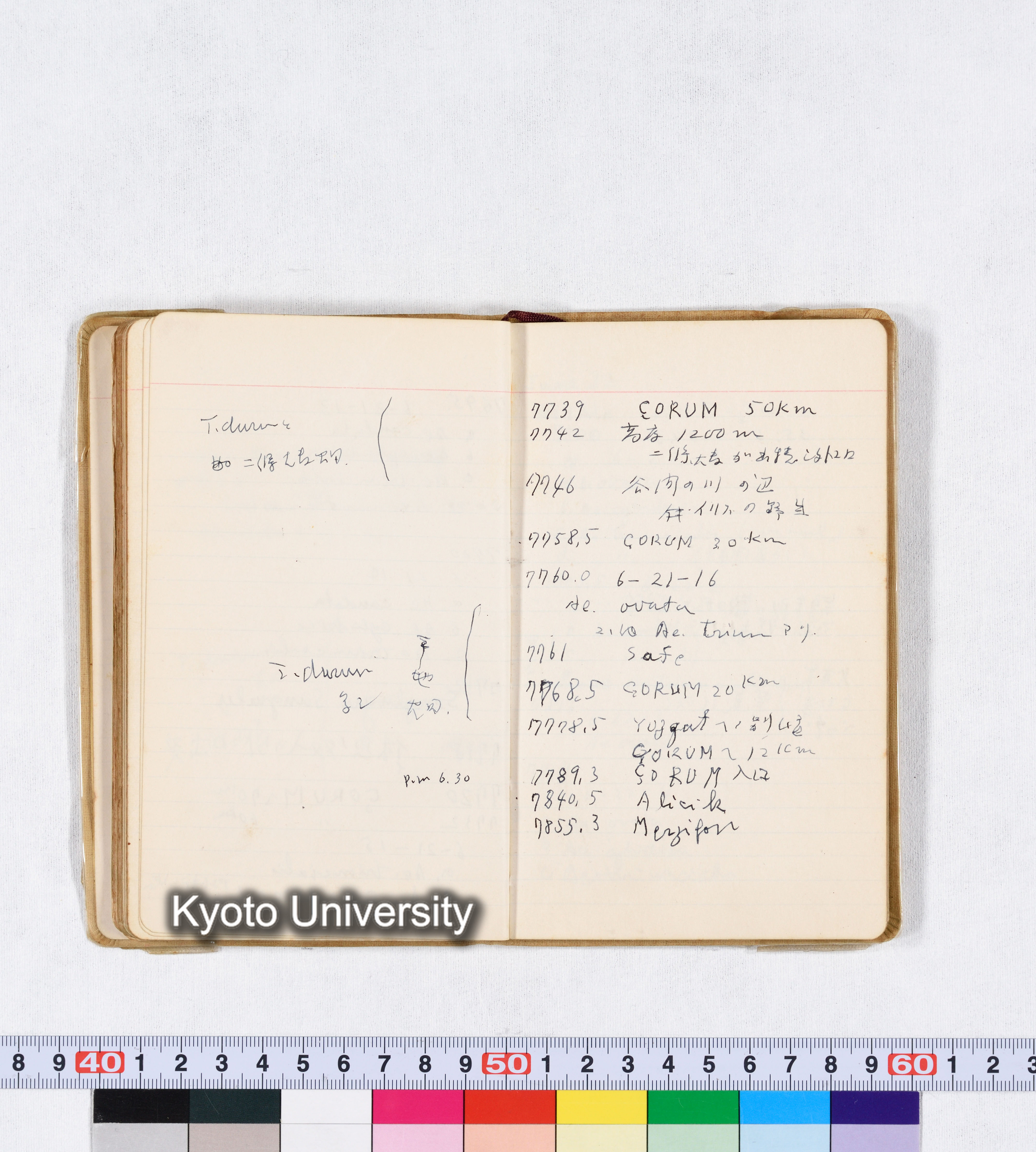 採集 II 1959 BMUK (64)