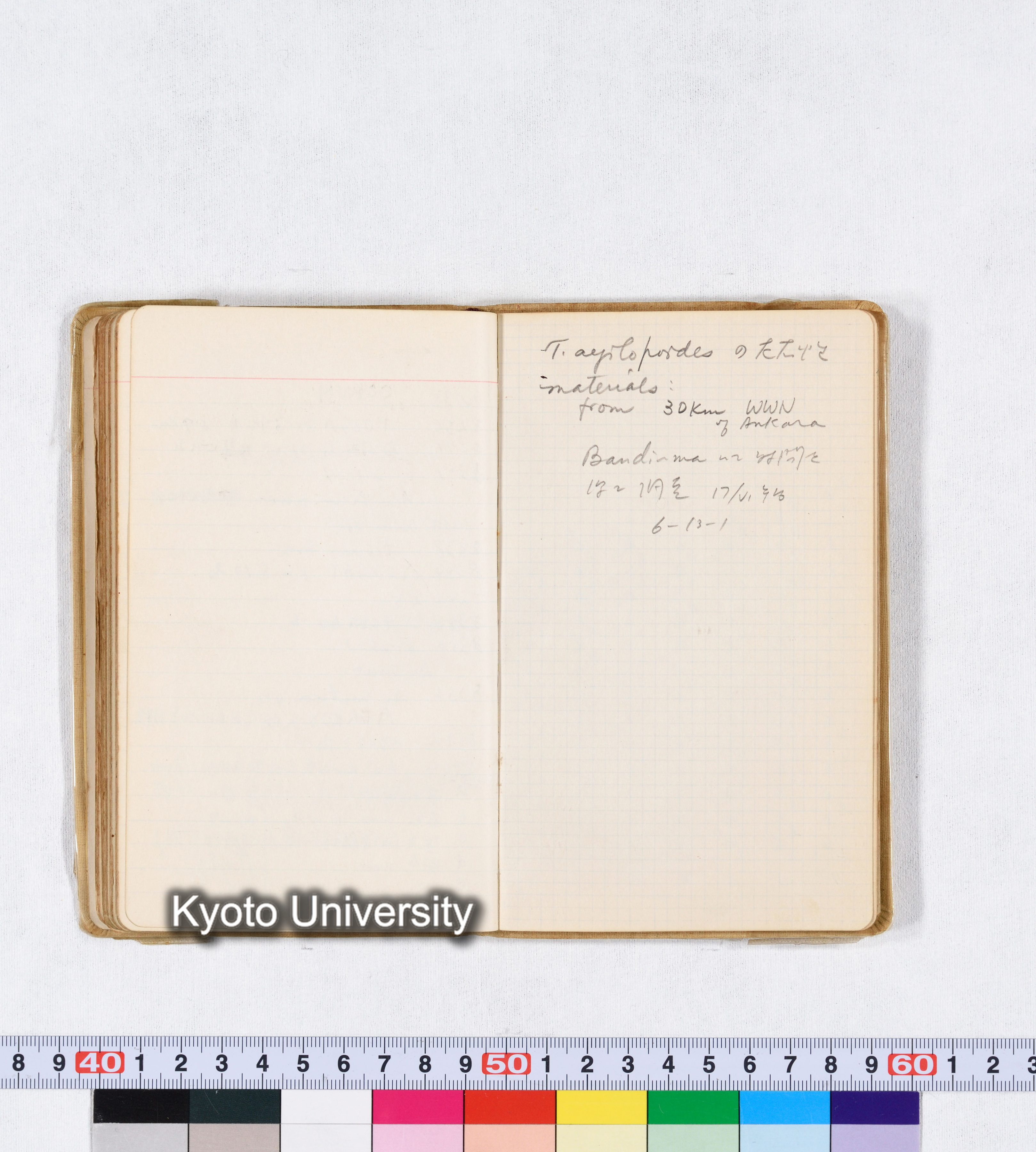 採集 II 1959 BMUK (74)