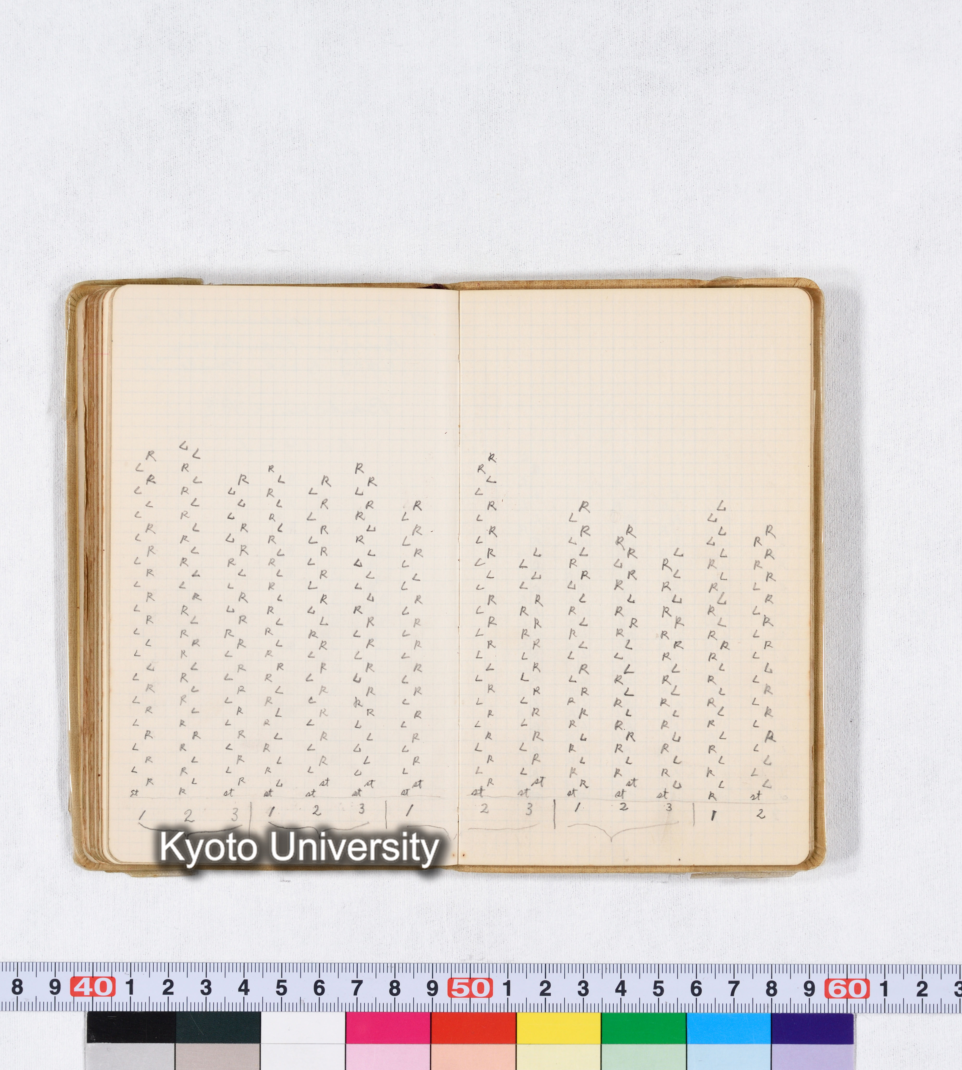 採集 II 1959 BMUK (77)