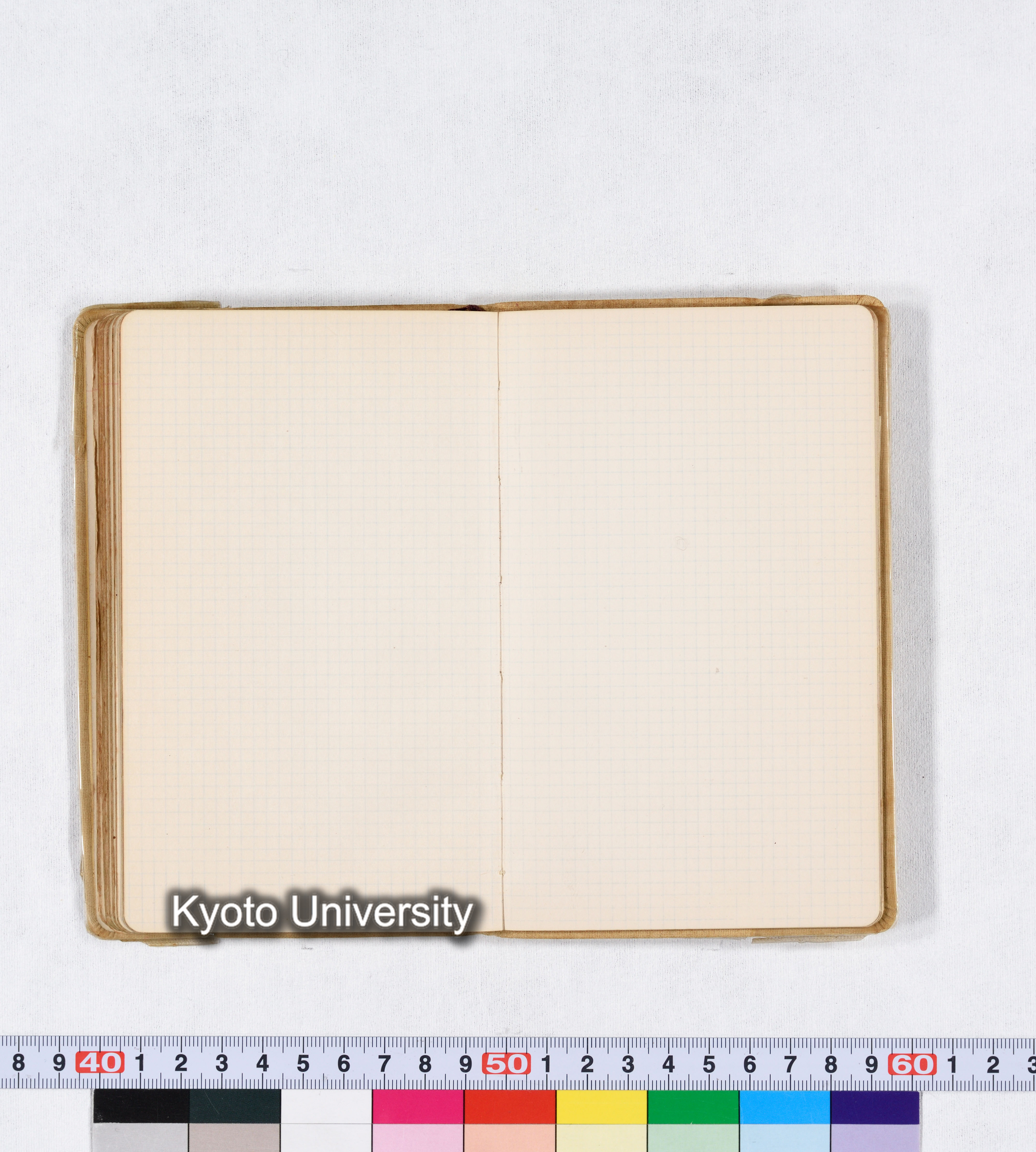 採集 II 1959 BMUK (82)